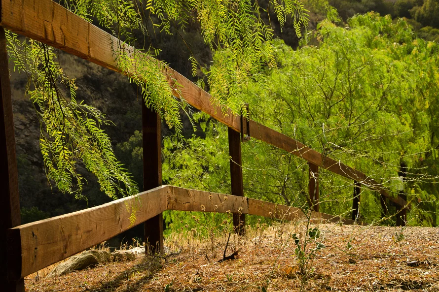 Just Flow – Pursuing A Life Of Being
