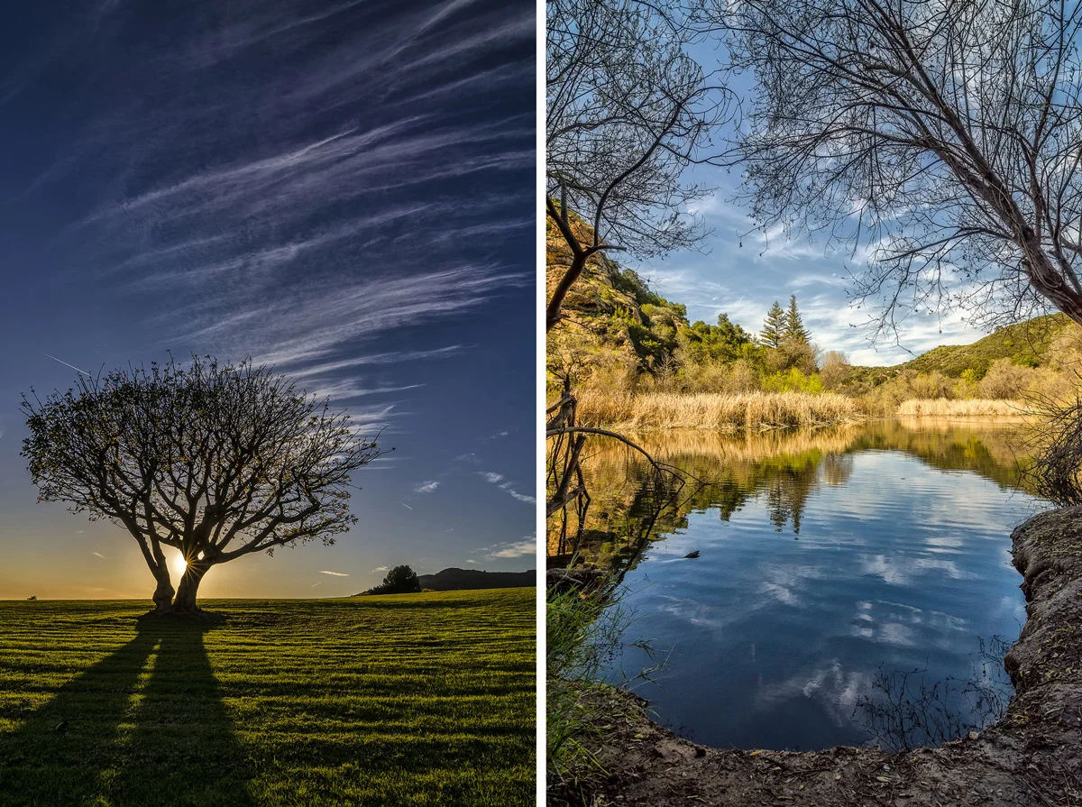 I Win I Win!! (Sort of…) – The Results (And Lessons) Of My First Ever Photo Contest