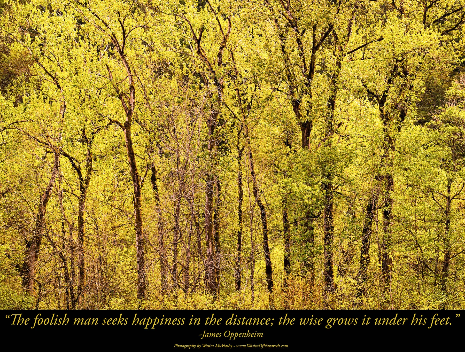 A Monday Motivational Kick In The Yahoo – August 11, 2014