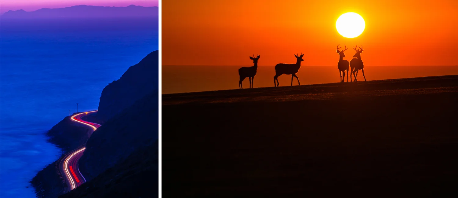 The Spirit Of The Mountain Calls Again – Here’re This Year’s Entries!