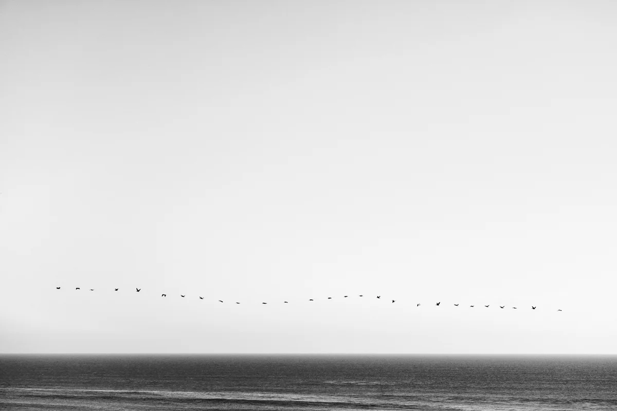 Happy New Year! I’m Going To Be At ASMP Photo LA – Come Say Hey!