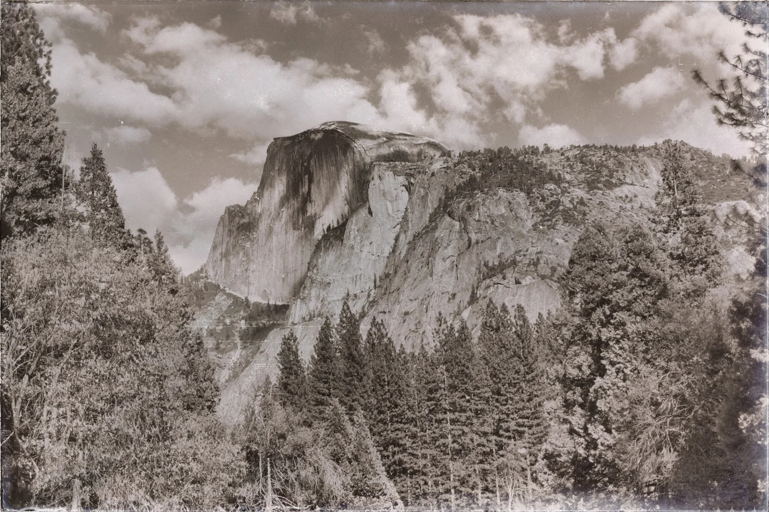 Happy Birthday John Muir