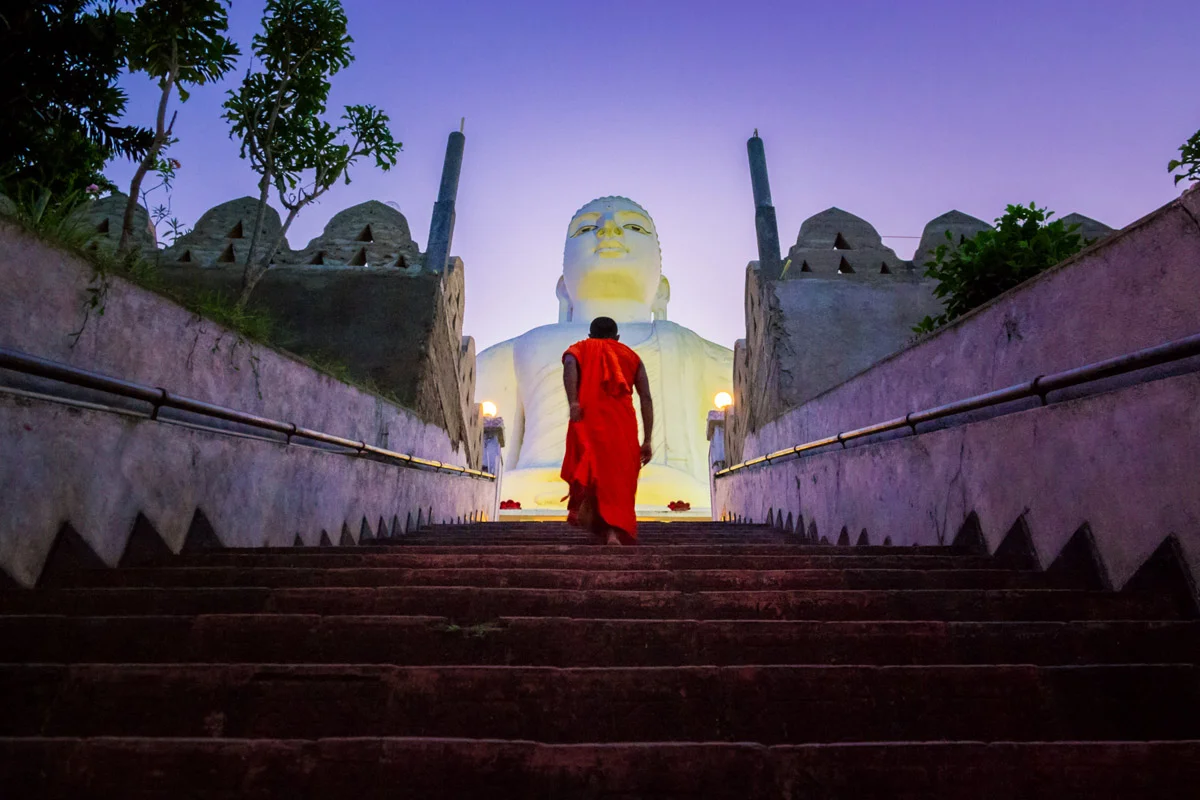 3 Weeks In Sri Lanka – Part 7 : The Solo Journey Continues – The Elephants, The Elements, & The Shoulder Of Buddha