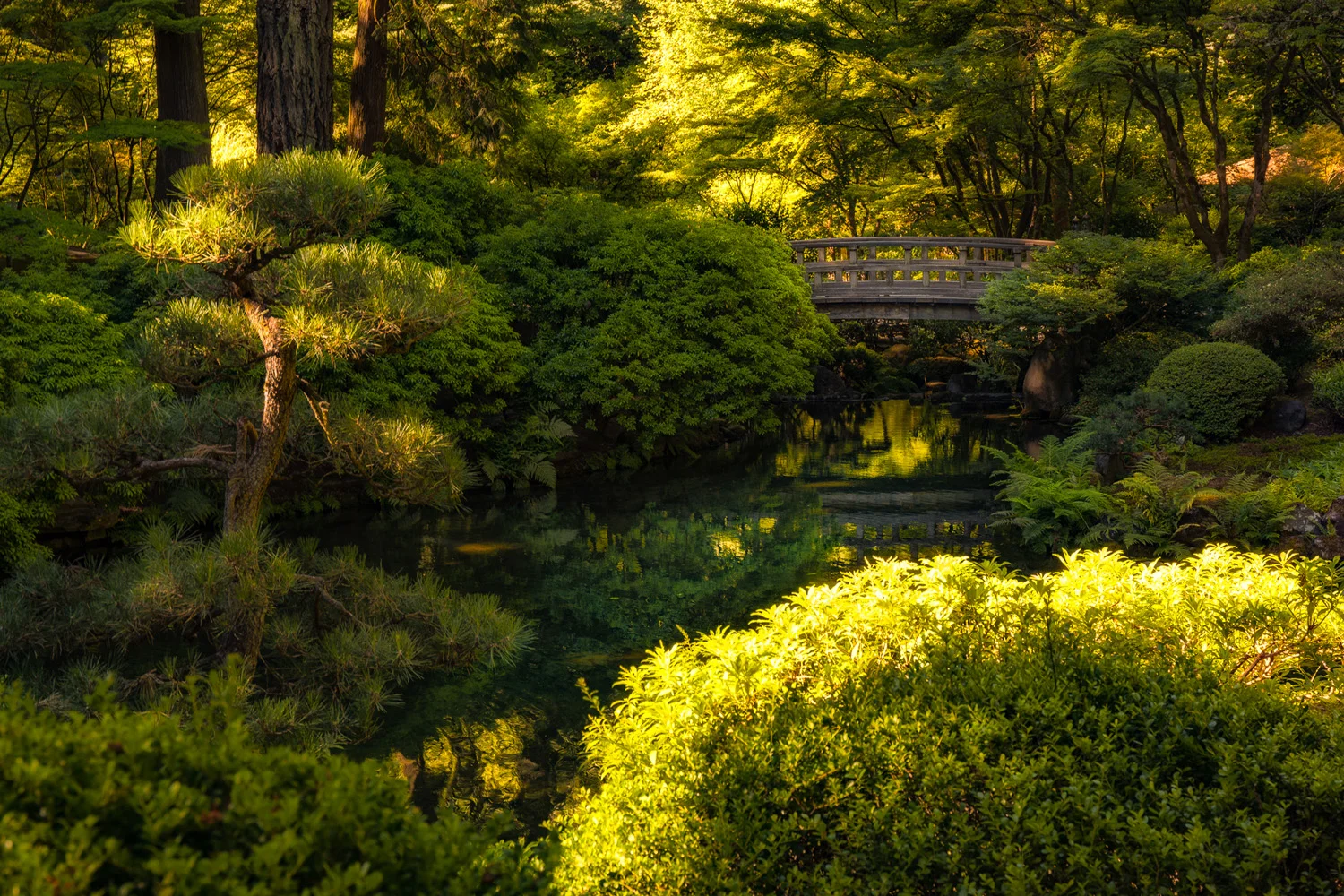 A Series of Portland Japanese Garden Zen Moments – August 1, 2015