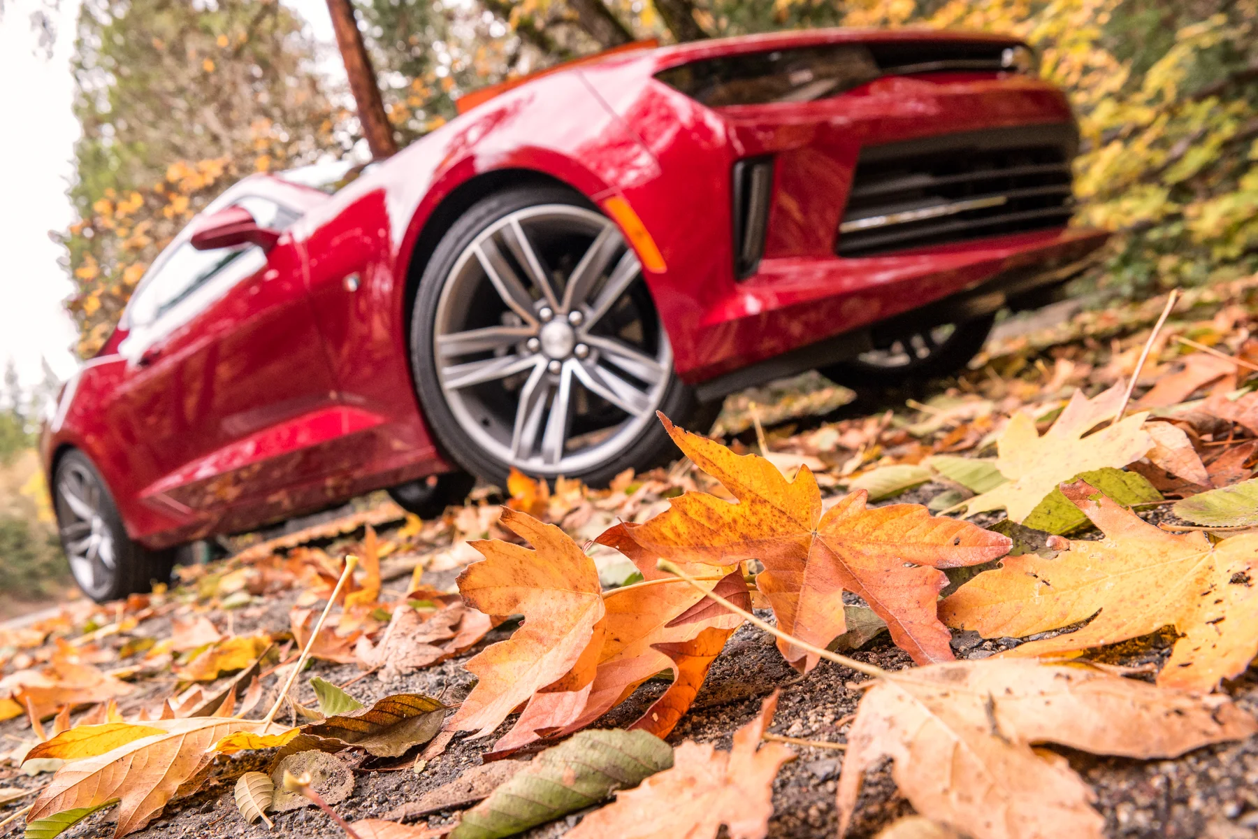 800 Miles. 36 Hours. 17 Frames. Find New Roads From Portland To San Francisco By Camaro.