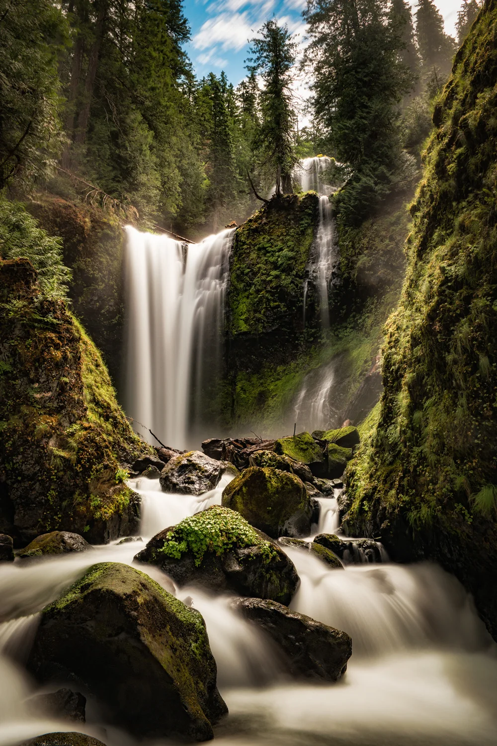 A Few Choice Moments From My First Few Months In The Pacific Northwest