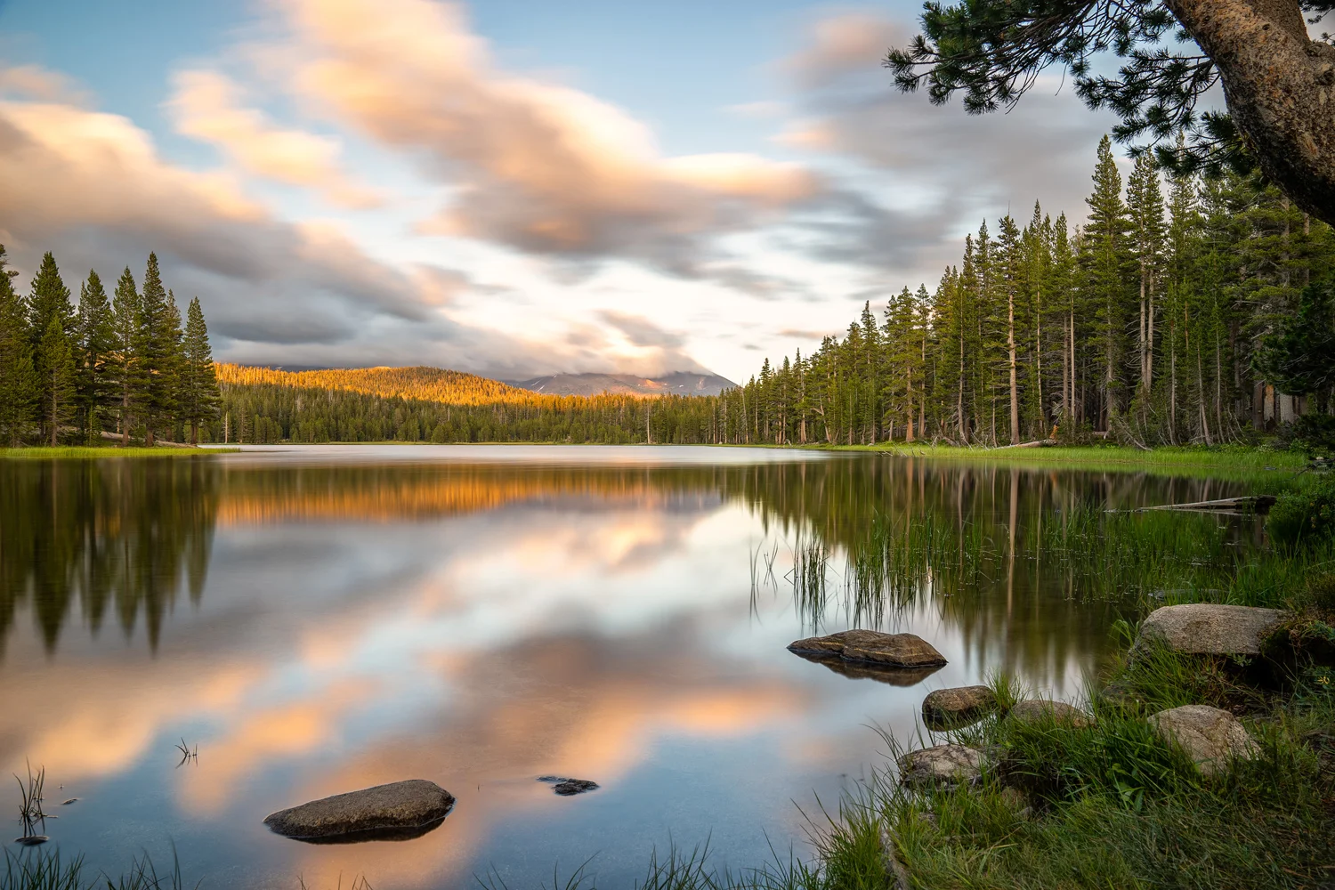Summer in the Sierras – From King’s Canyon & Sequoia Through Yosemite’s Tioga Road to Tuolumne Meadows
