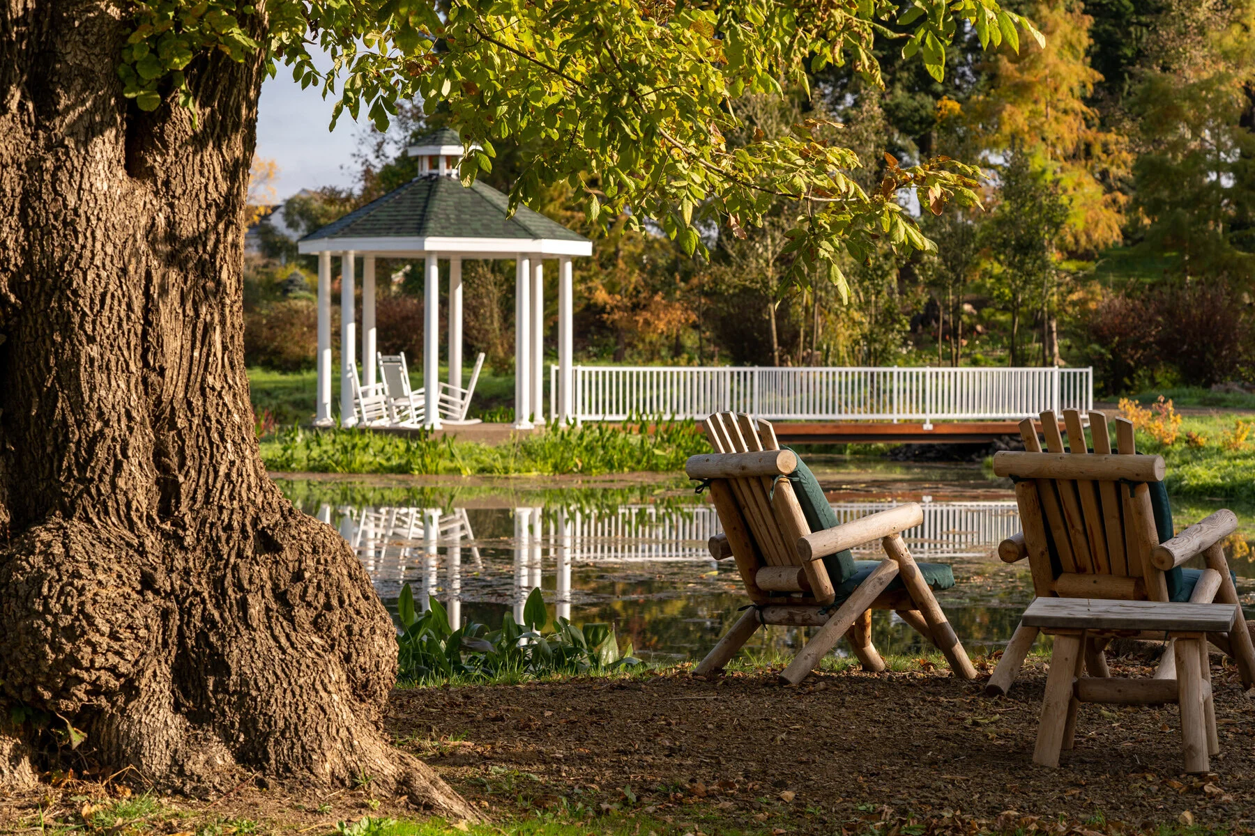 Oakwood Gardens Fall Color Garden Photographyby