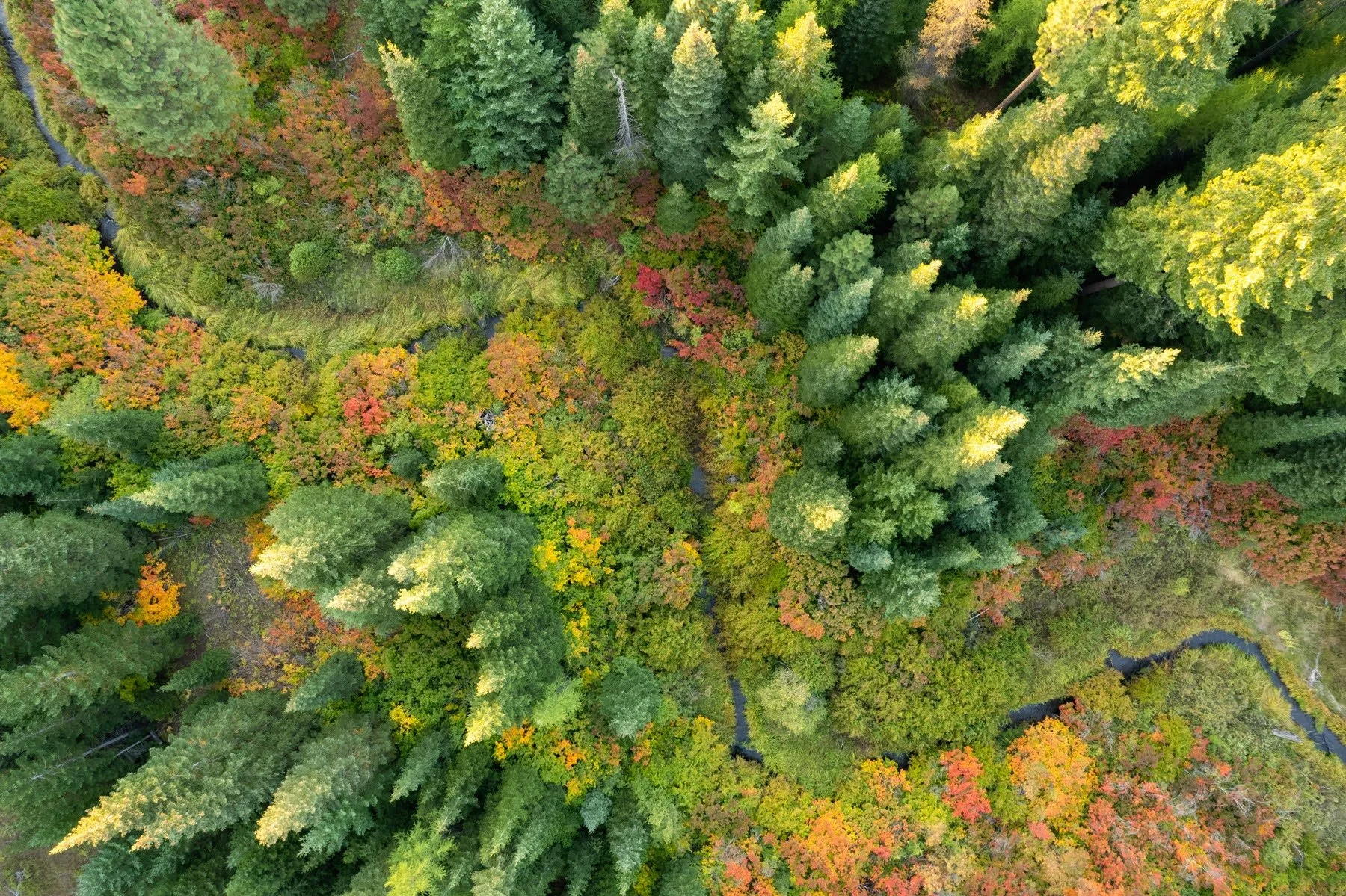 Metolius Preserve Deschutes Land Trust Sisters Oregon Photographyby Aerial