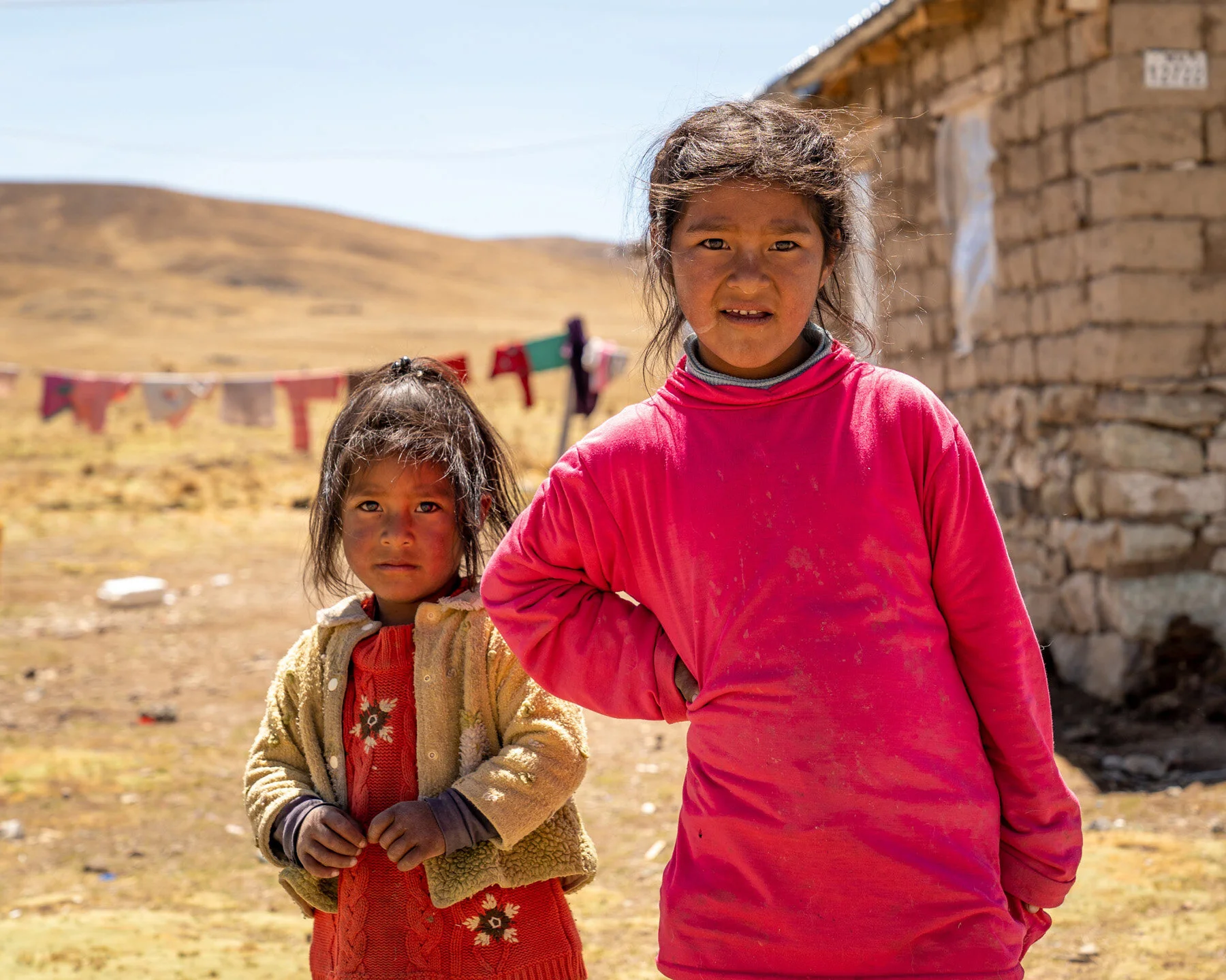Andes Mountains Peru Quechua Benefit Picotani Vicuna Chaccu