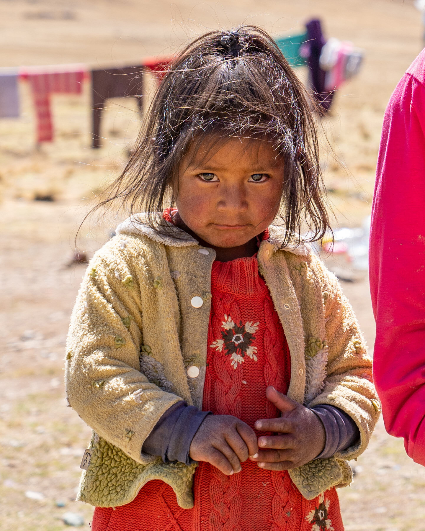 Andes Mountains Peru Quechua Benefit Picotani Vicuna Chaccu