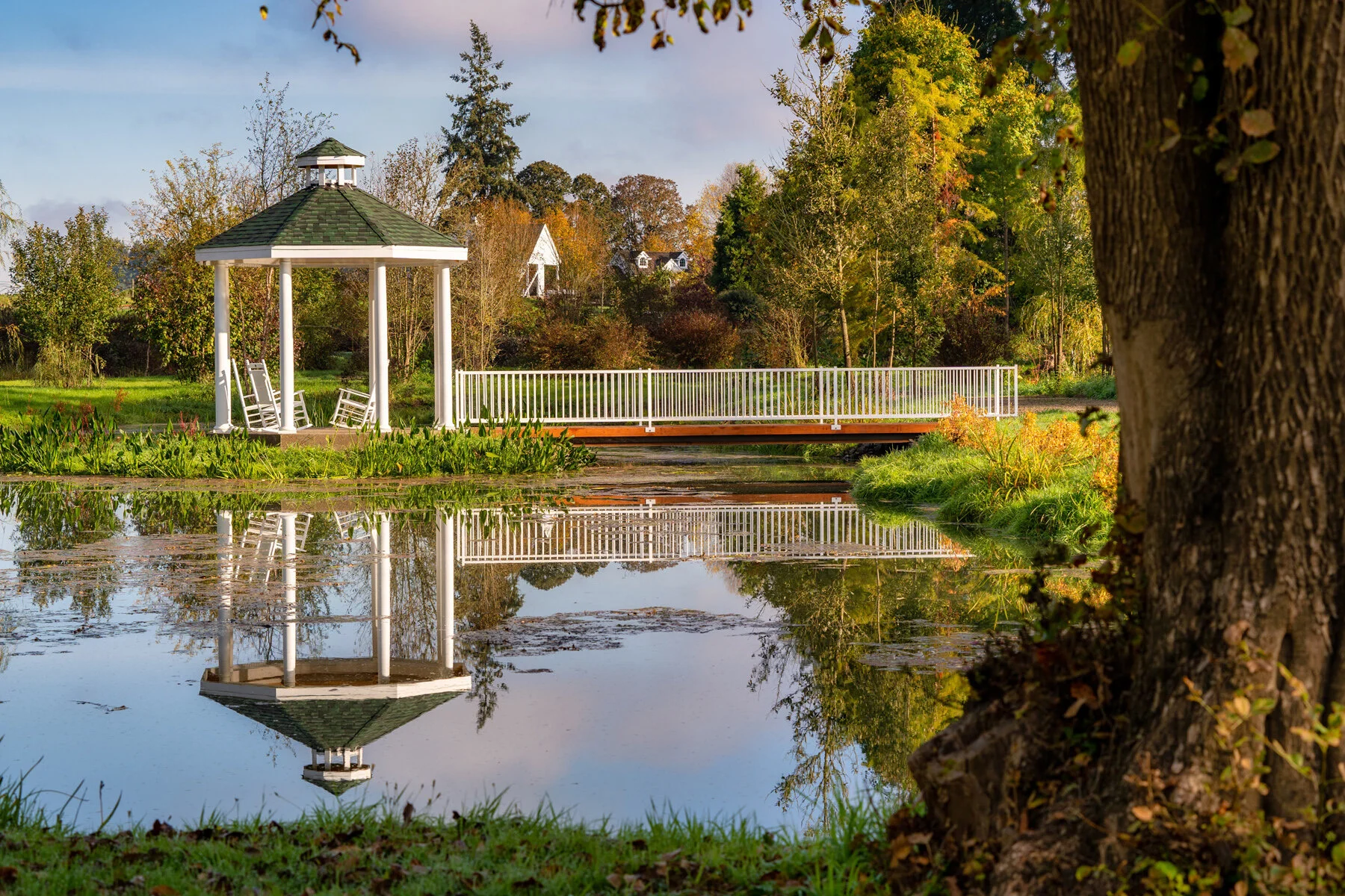 Oakwood Gardens Fall Color Garden Photographyby