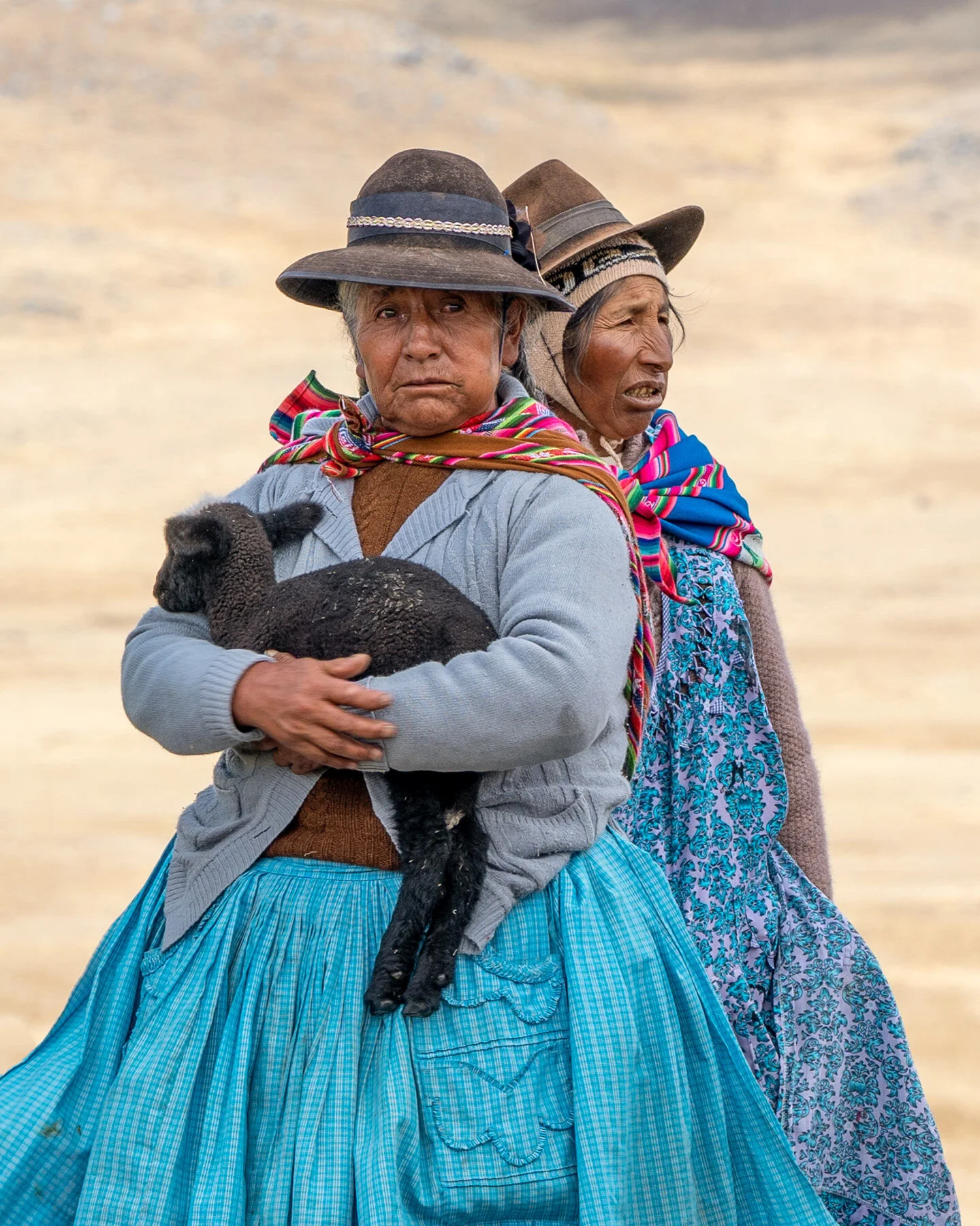 Andes Mountains Peru Quechua Benefit Picotani Vicuna Chaccu