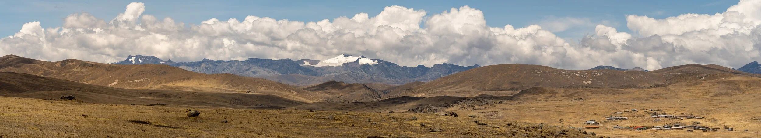 Andes Mountains Peru Quechua Benefit Picotani Vicuna Chaccu