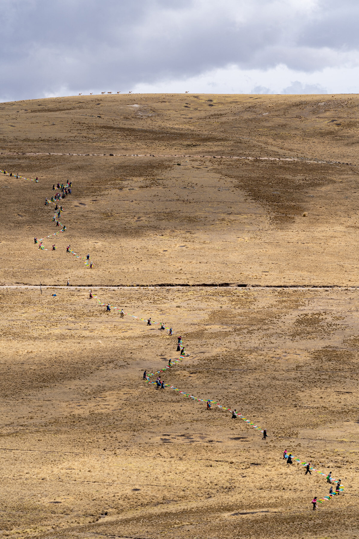Andes Mountains Peru Quechua Benefit Picotani Vicuna Chaccu