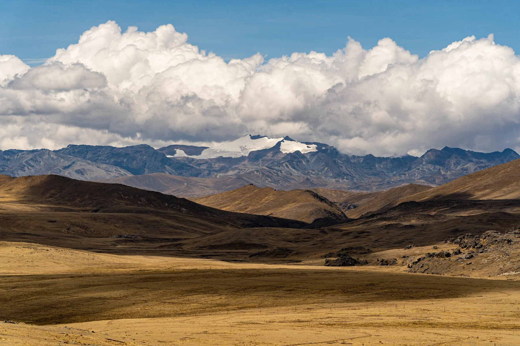 Andes Mountains Peru Quechua Benefit Picotani Vicuna Chaccu