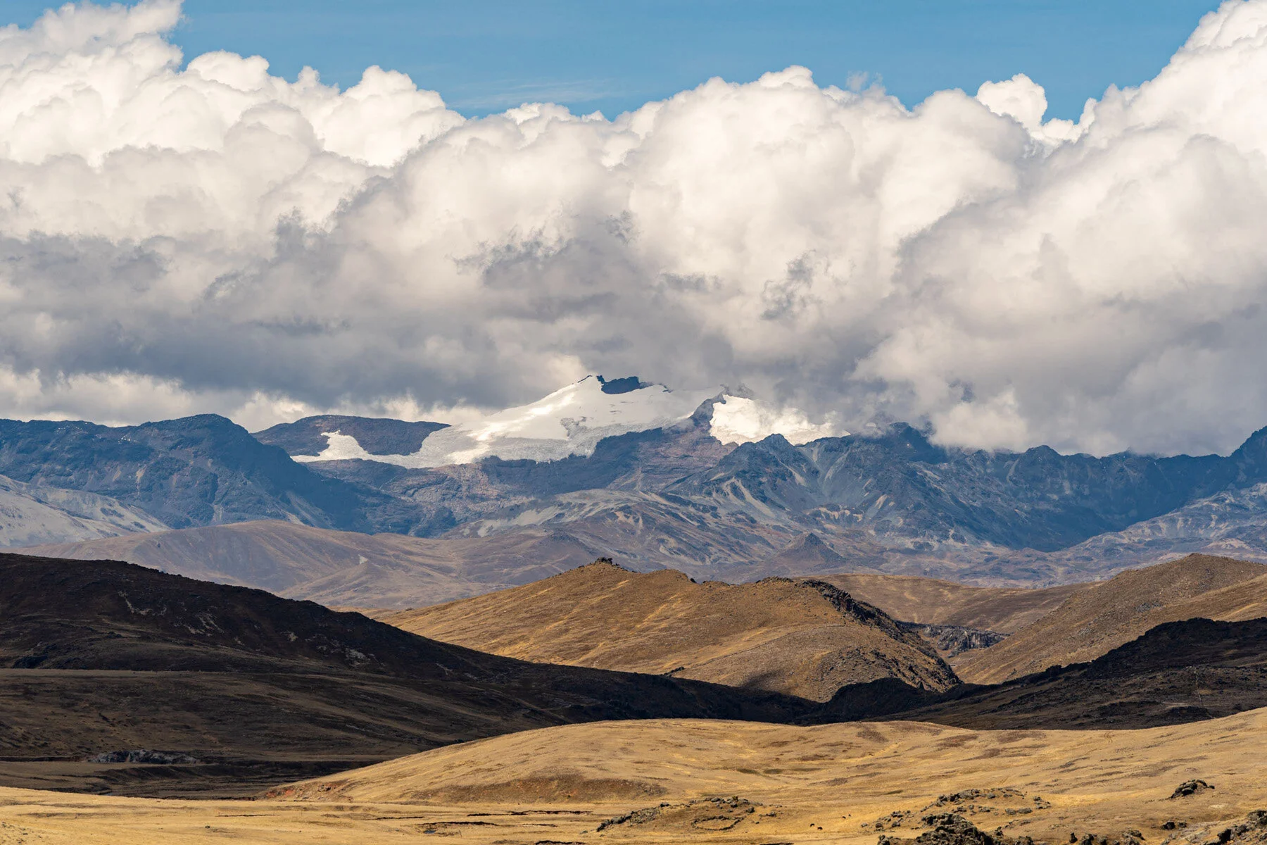 Andes Mountains Peru Quechua Benefit Picotani Vicuna Chaccu