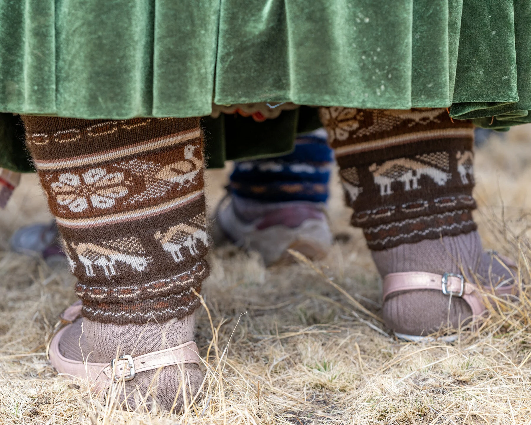 Andes Mountains Peru Quechua Benefit Picotani Vicuna Chaccu