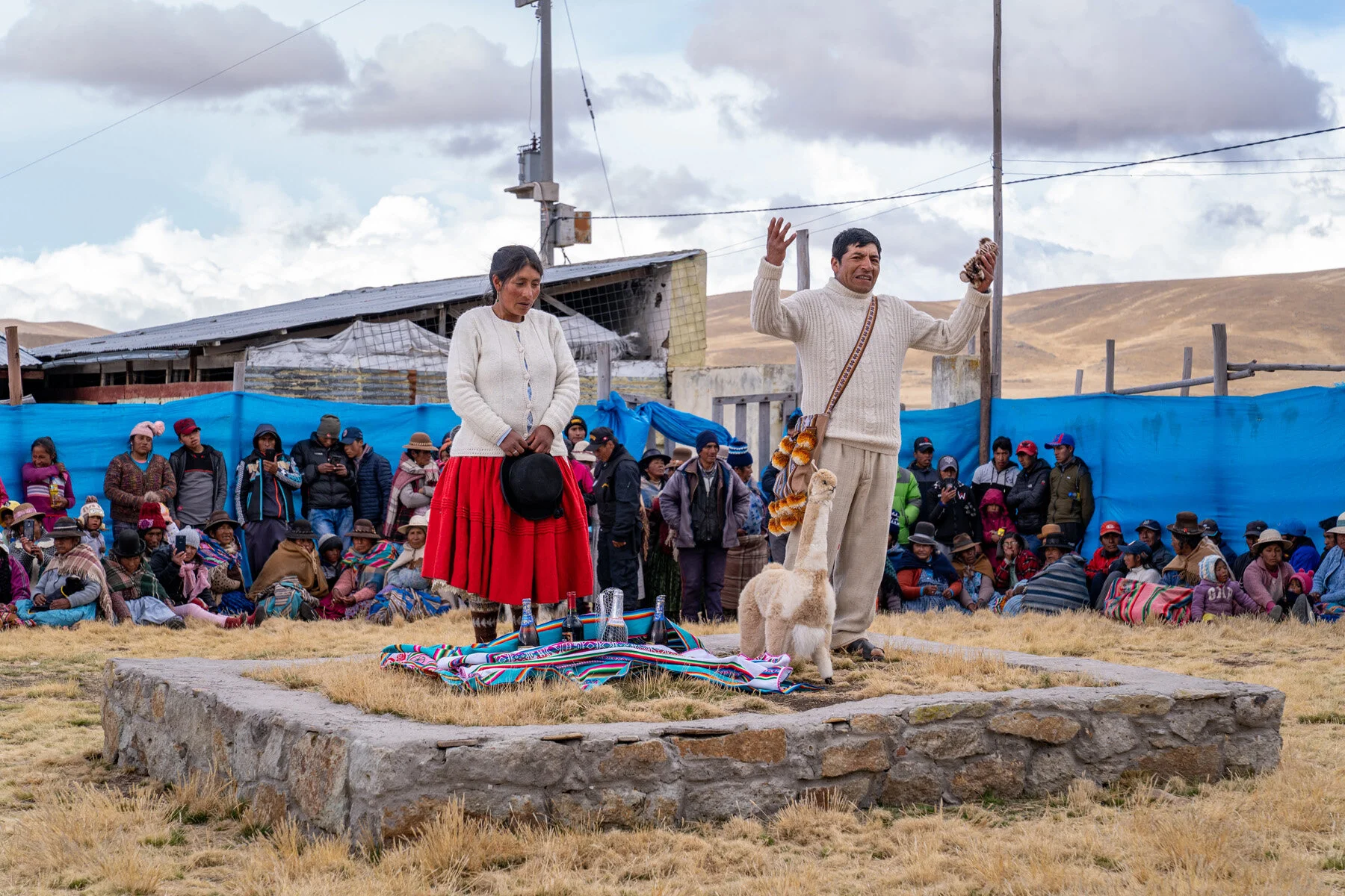 Andes Mountains Peru Quechua Benefit Picotani Vicuna Chaccu