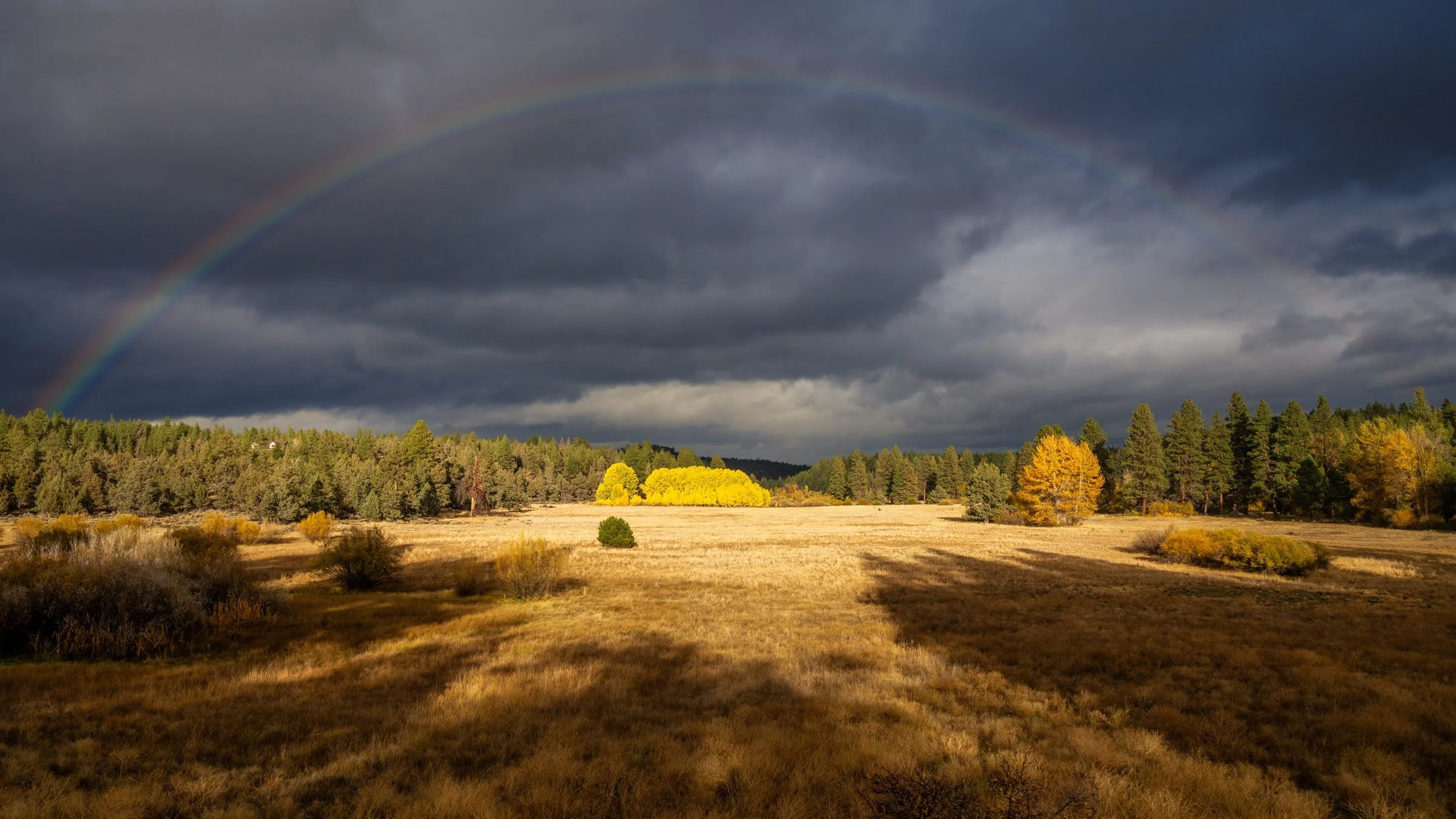 Fall2023 Camp Polk Meadow Preserve Deschutes Land Trust Sisters Oregon Photographyby 2400px webres