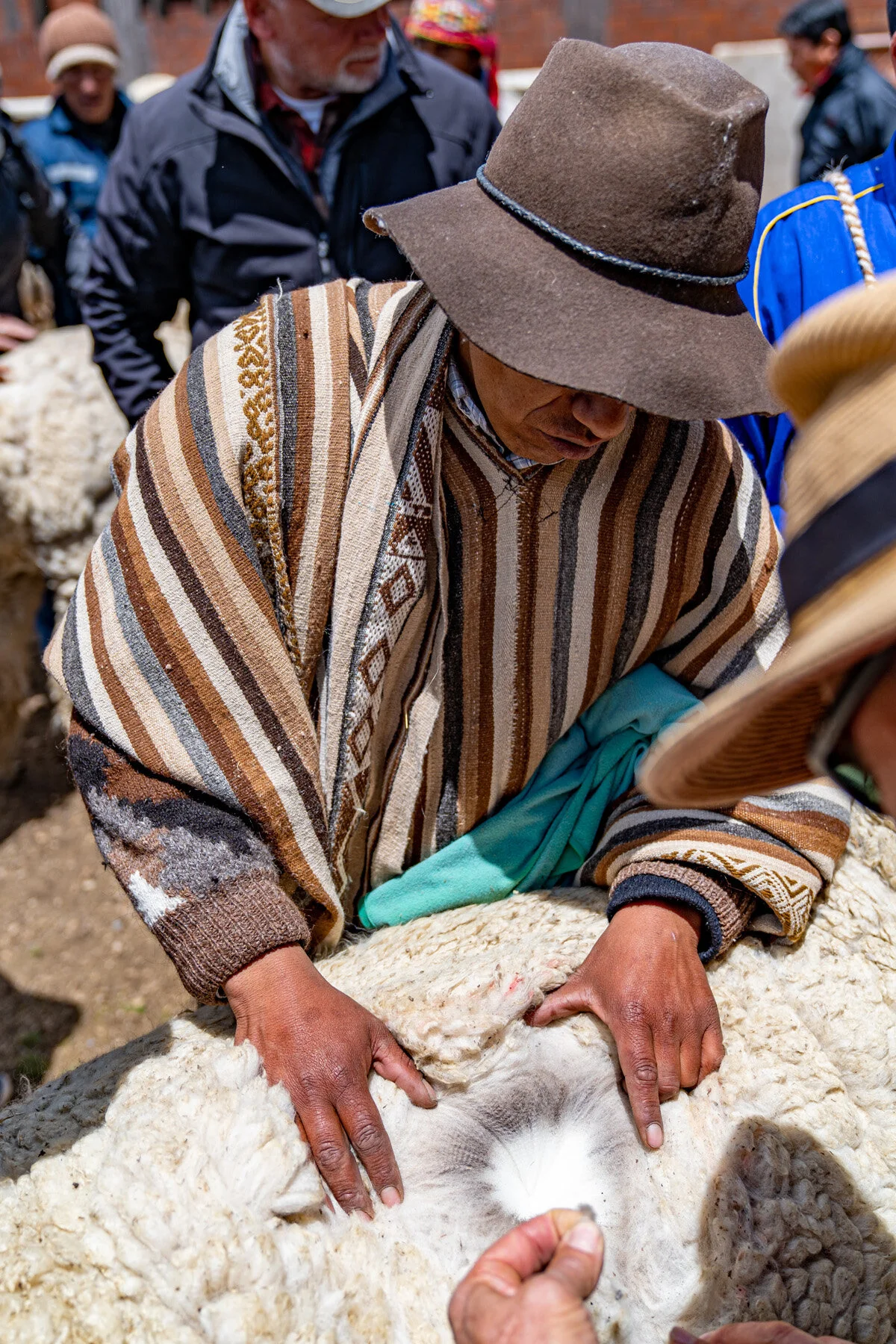 Andes Mountains Peru Quechua Benefit Picotani Spar Macusani Alpaca
