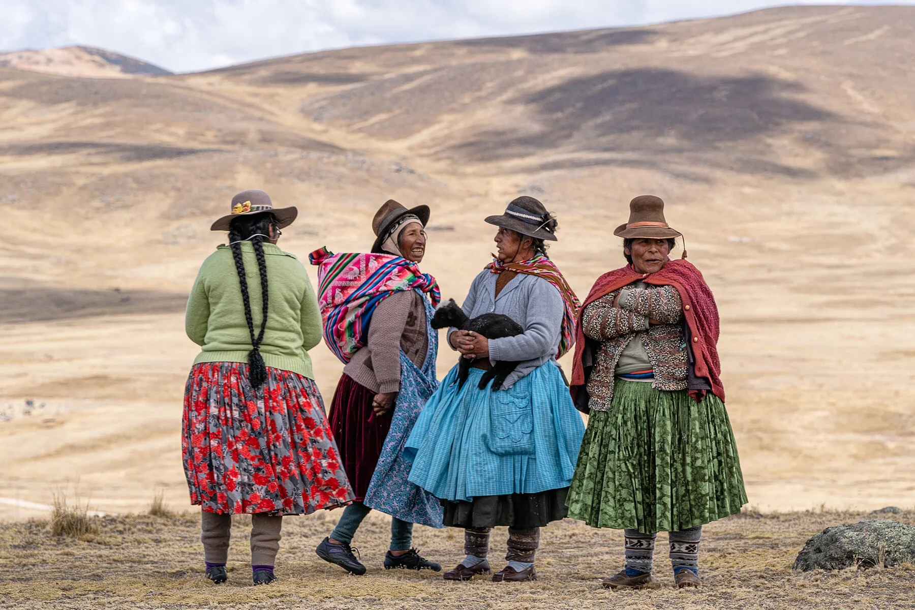 Andes Mountains Peru Quechua Benefit Picotani Vicuna Chaccu