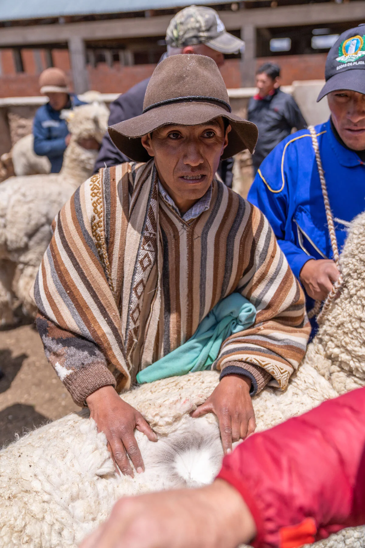 Andes Mountains Peru Quechua Benefit Picotani Spar Macusani Alpaca
