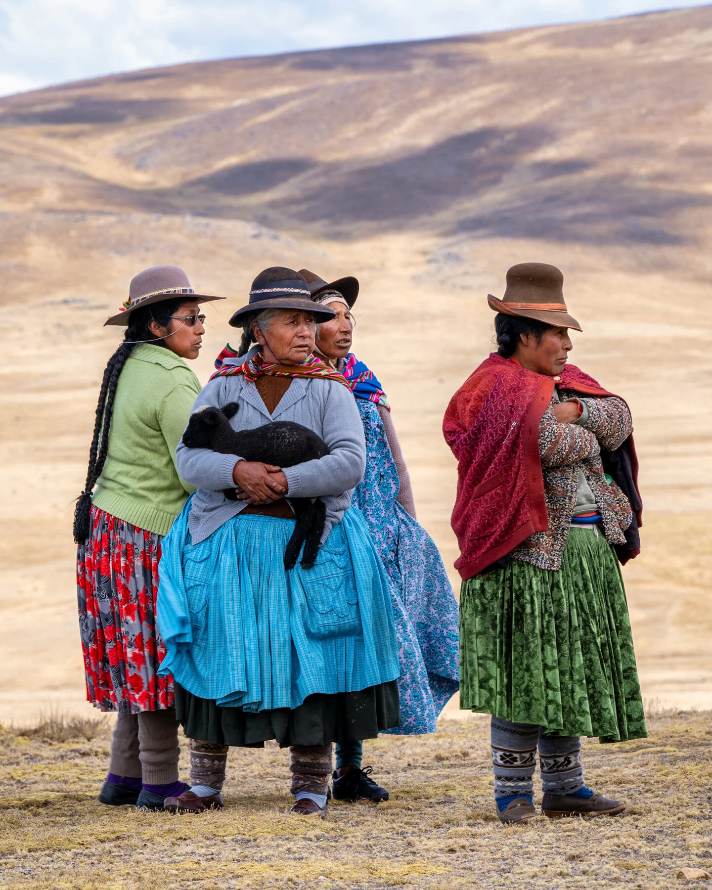 Andes Mountains Peru Quechua Benefit Picotani Vicuna Chaccu