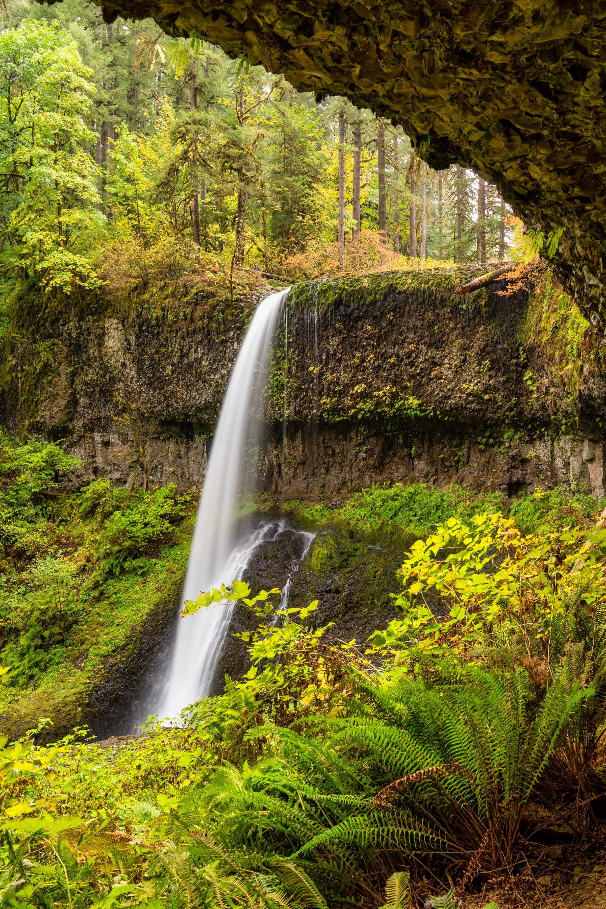 Silver Falls State Park Oregon Fall Color Photographyby 3600web