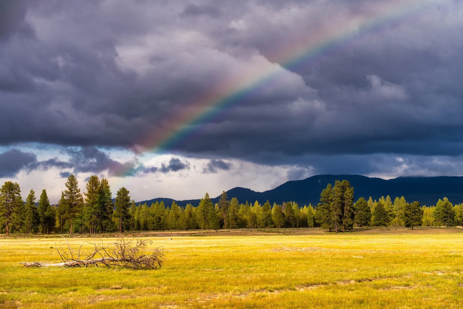 Spring2025 Deschutes Land Trust Paulina Creek Preserve Photographyby 4200px