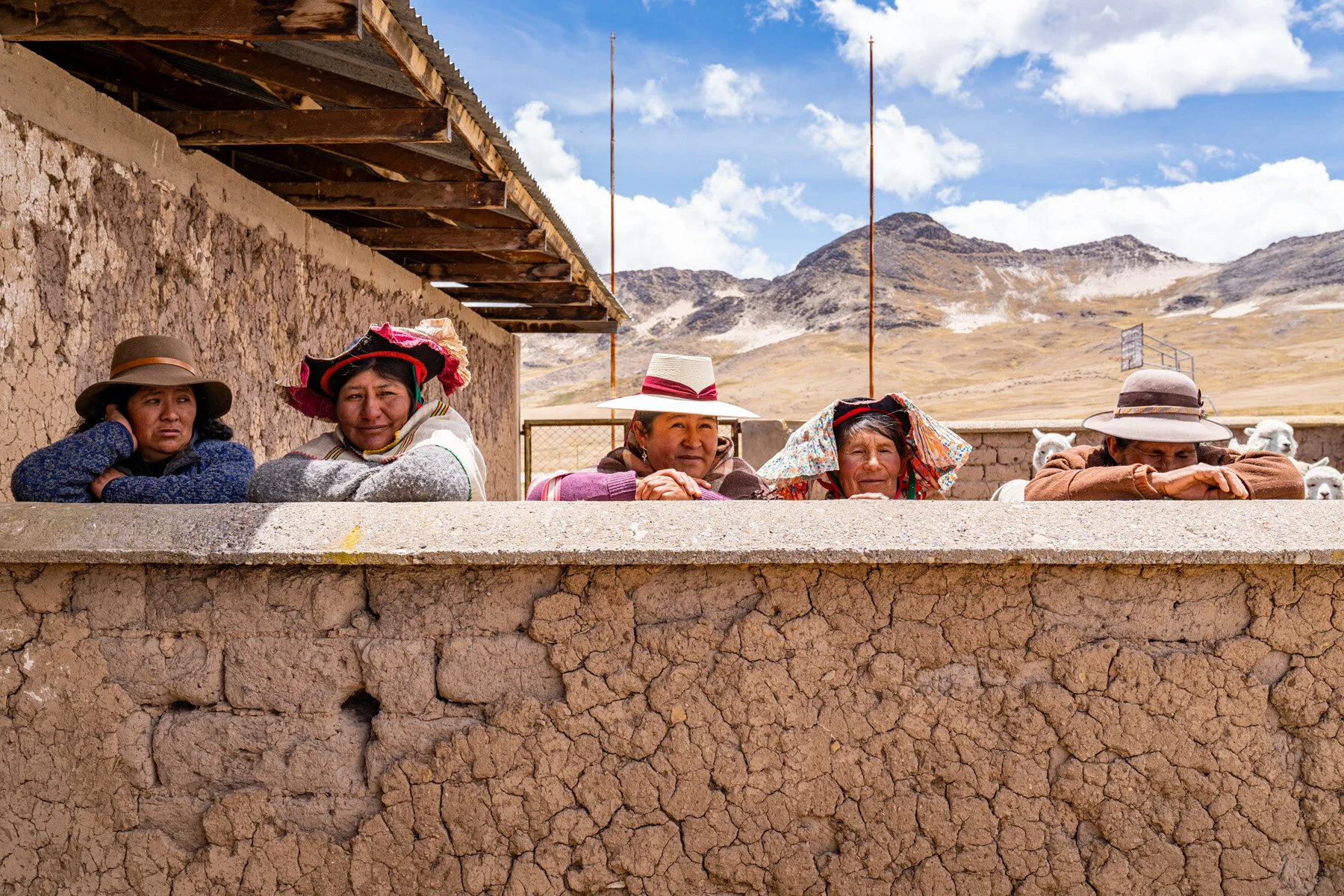 Andes Mountains Peru Quechua Benefit Picotani Spar Macusani Alpaca