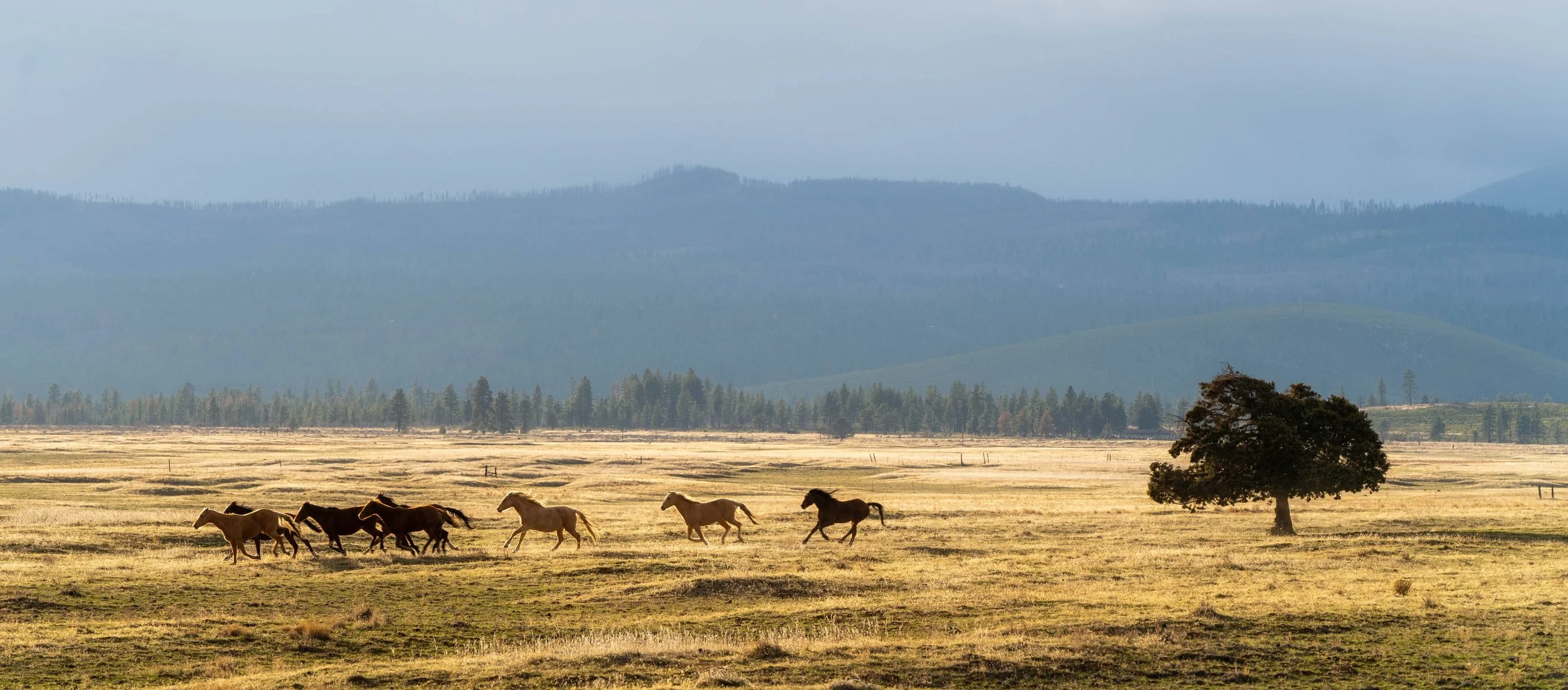 Central Oregon Landscape Photographyby