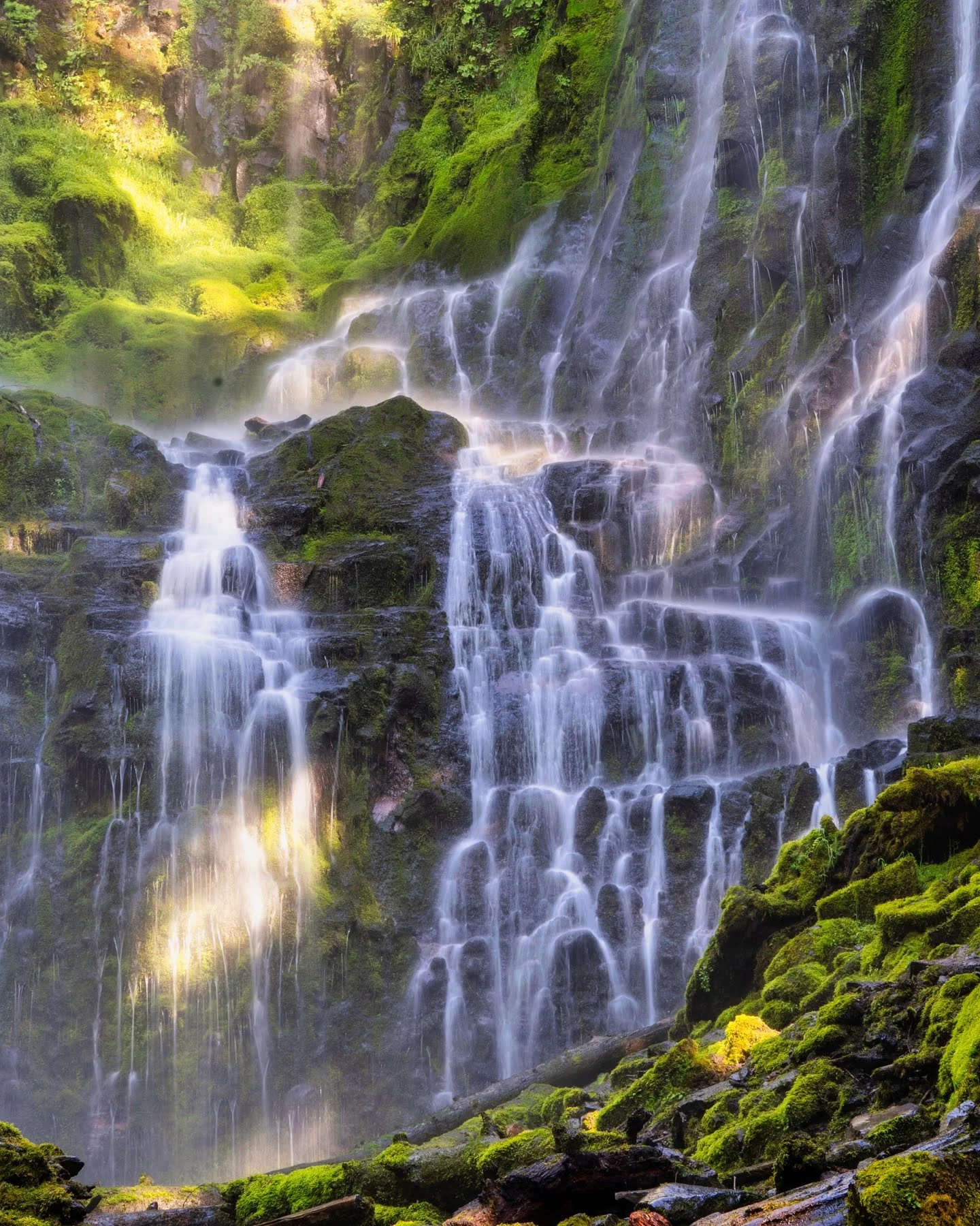 Proxy Falls Oregon Summer2022 Photographyby