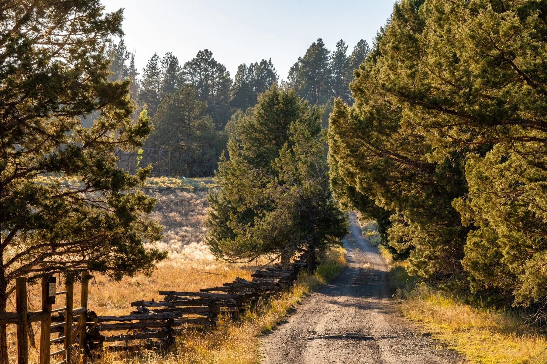 Camp Polk Meadow Preserve Deschutes Land Trust Sisters Oregon Photographyby