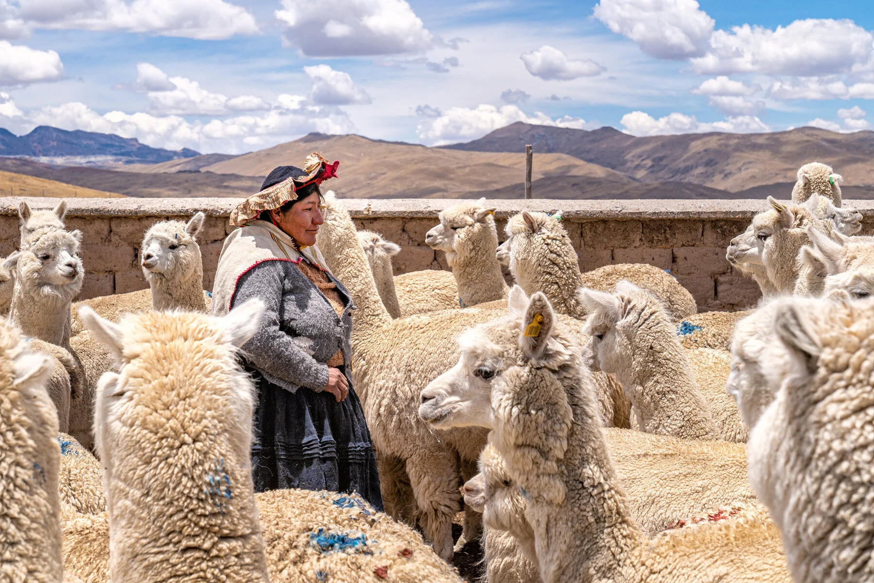 Andes Mountains Peru Quechua Benefit Picotani Spar Macusani Alpaca