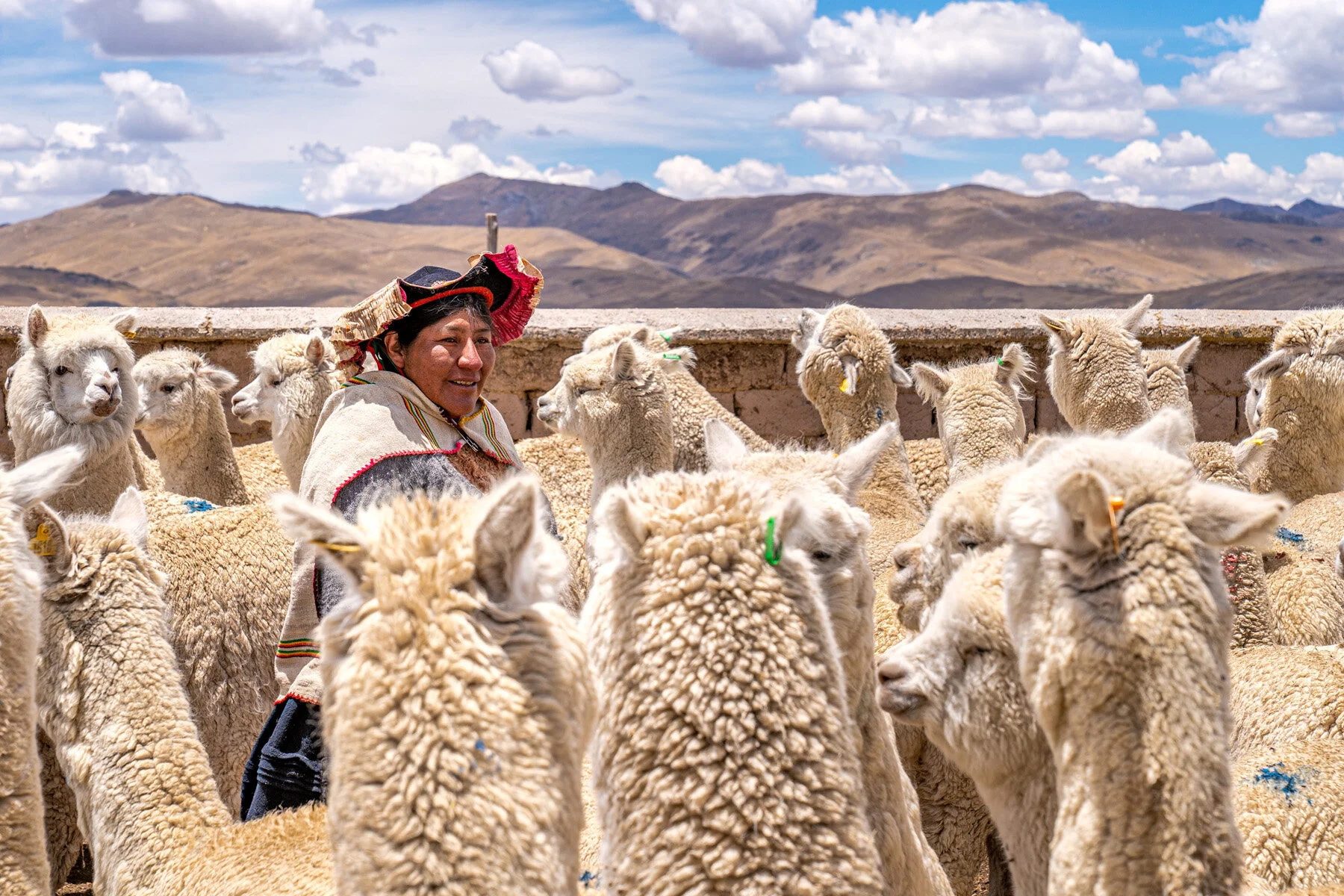 Andes Mountains Peru Quechua Benefit Picotani Spar Macusani Alpaca