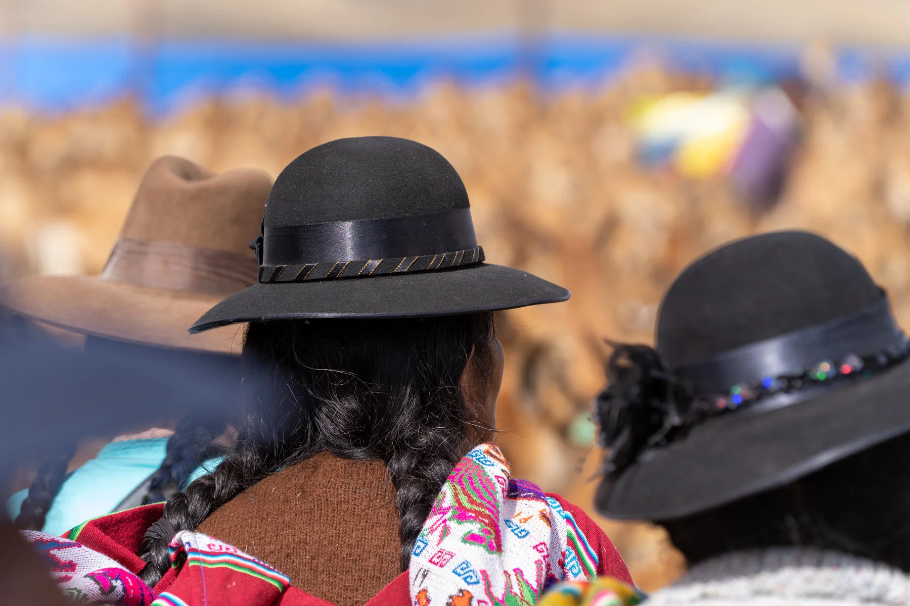 Andes Mountains Peru Quechua Benefit Picotani Vicuna Chaccu
