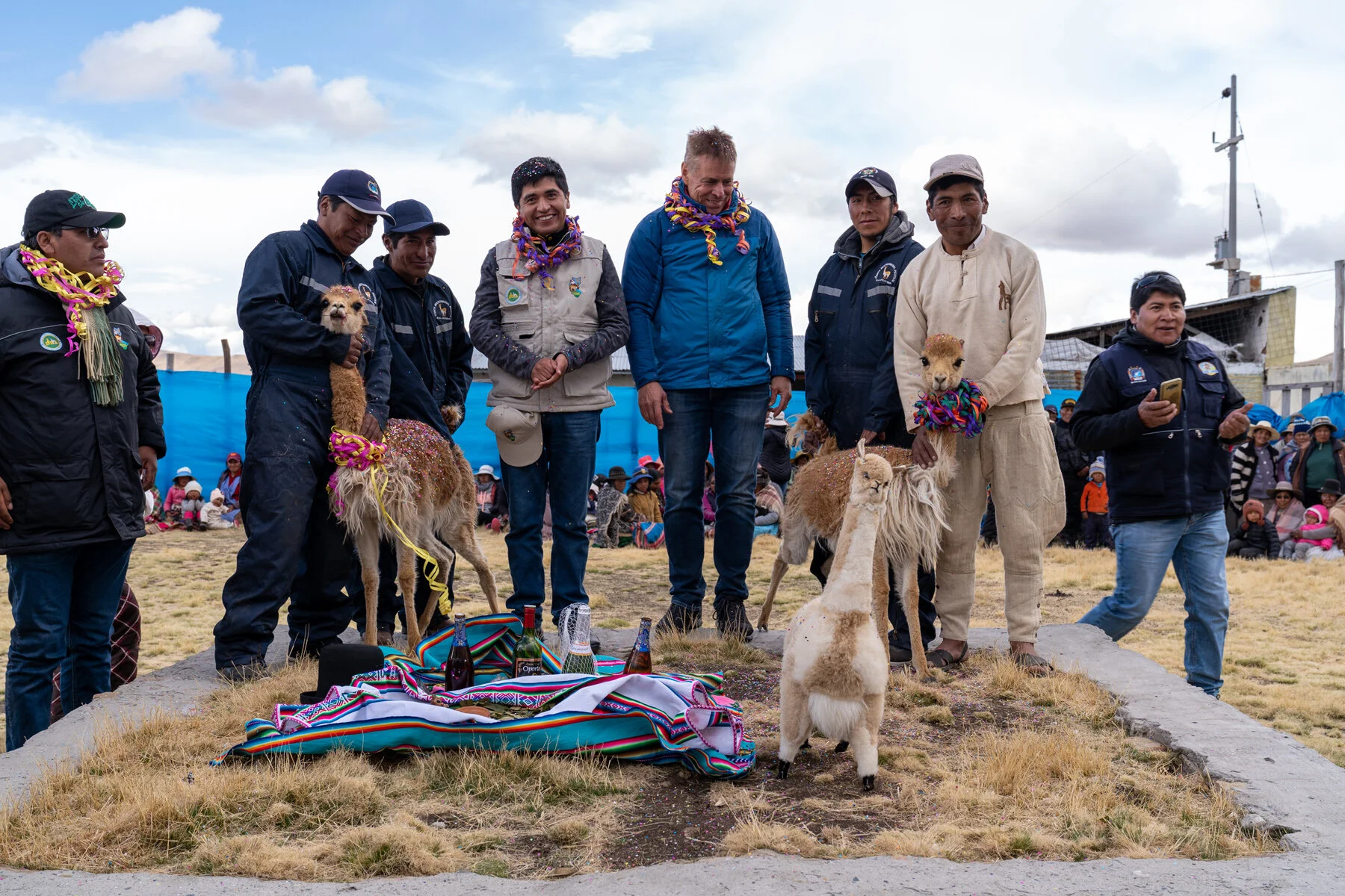 Andes Mountains Peru Quechua Benefit Picotani Vicuna Chaccu