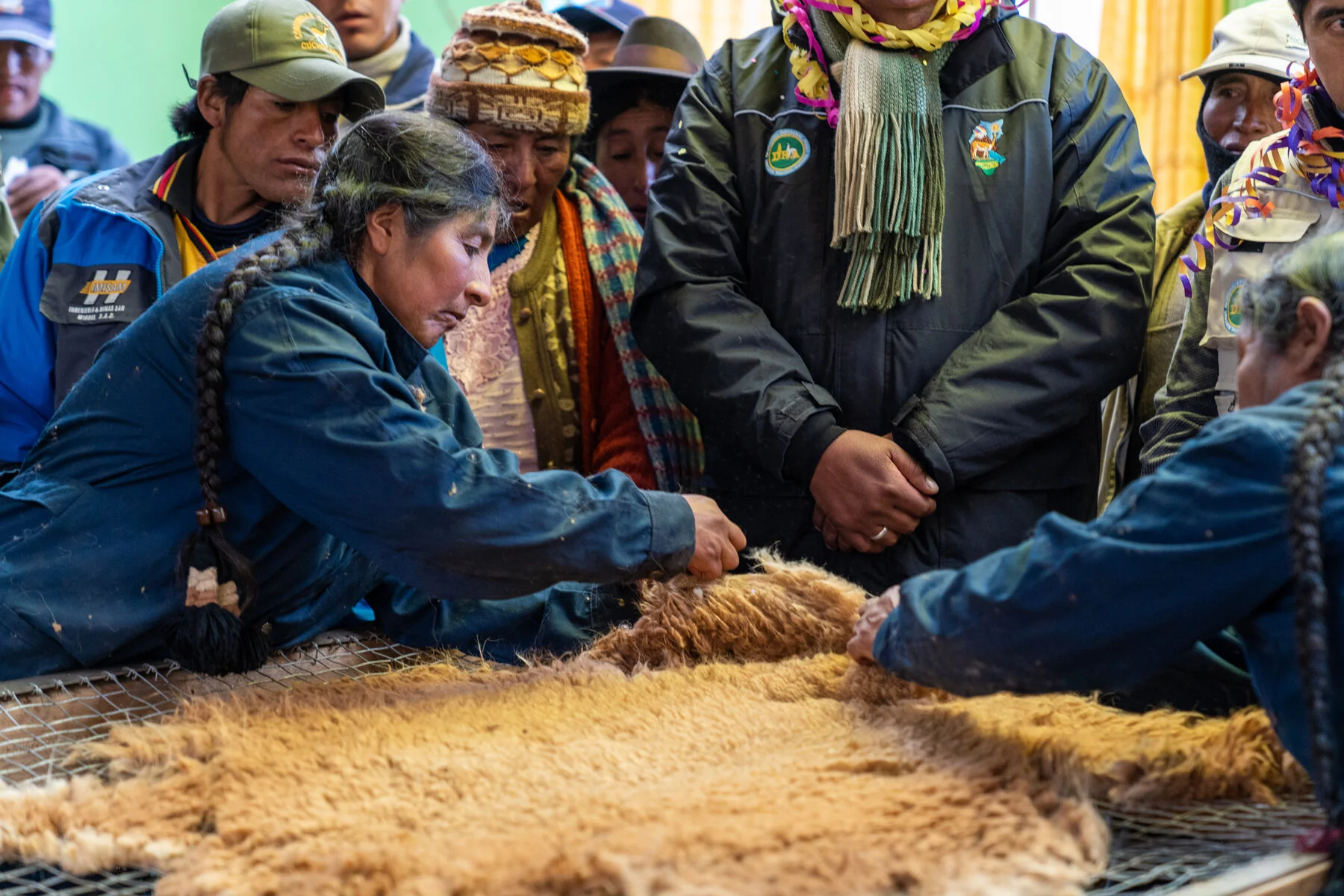 Andes Mountains Peru Quechua Benefit Picotani Vicuna Chaccu
