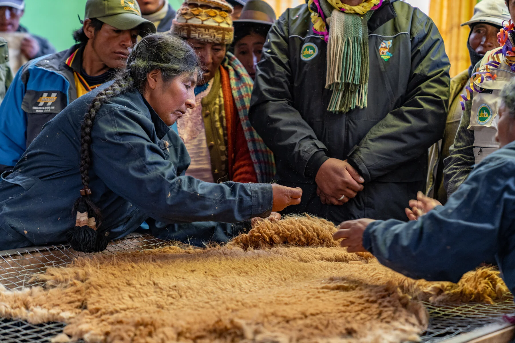 Andes Mountains Peru Quechua Benefit Picotani Vicuna Chaccu