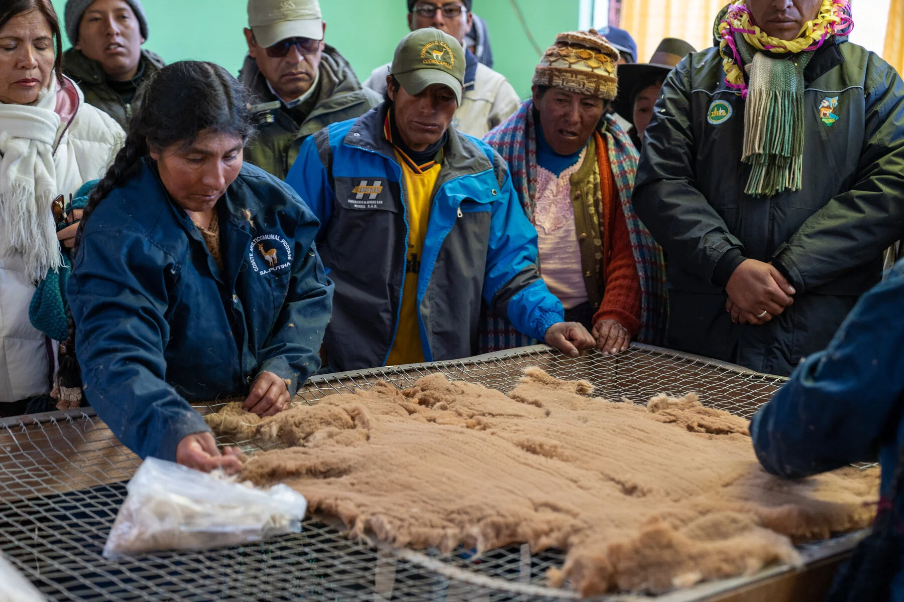 Andes Mountains Peru Quechua Benefit Picotani Vicuna Chaccu