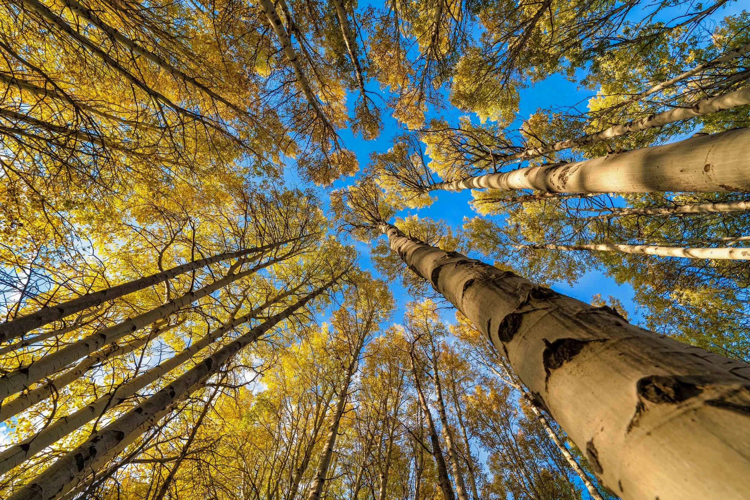 Fall2021 Camp Polk Meadow Preserve Deschutes Land Trust Photographyby 3600px