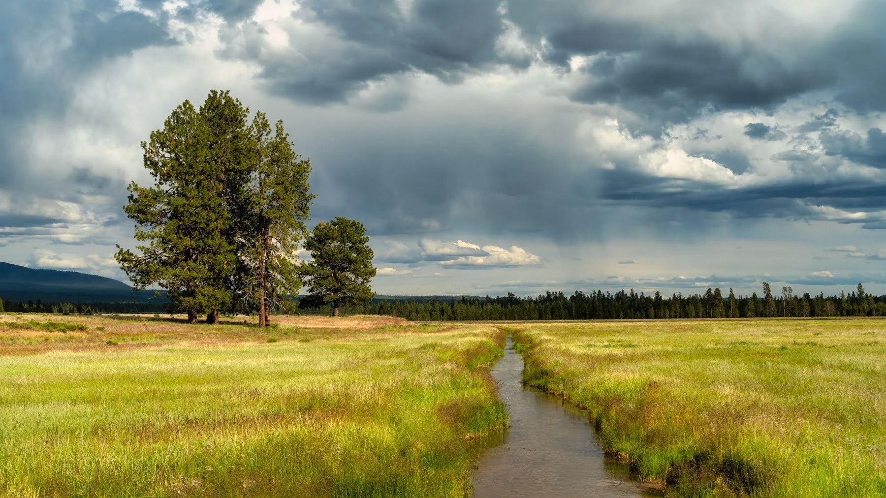 Spring2023 Paulina Creek Preserve Deschutes Land Trust Sisters Oregon Photographyby 1800px webres