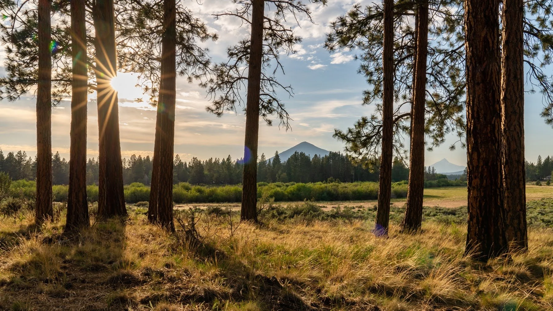 Indian Ford Meadow Preserve Deschutes Land Trust Sisters Bend Oregon Photographyby 1800px