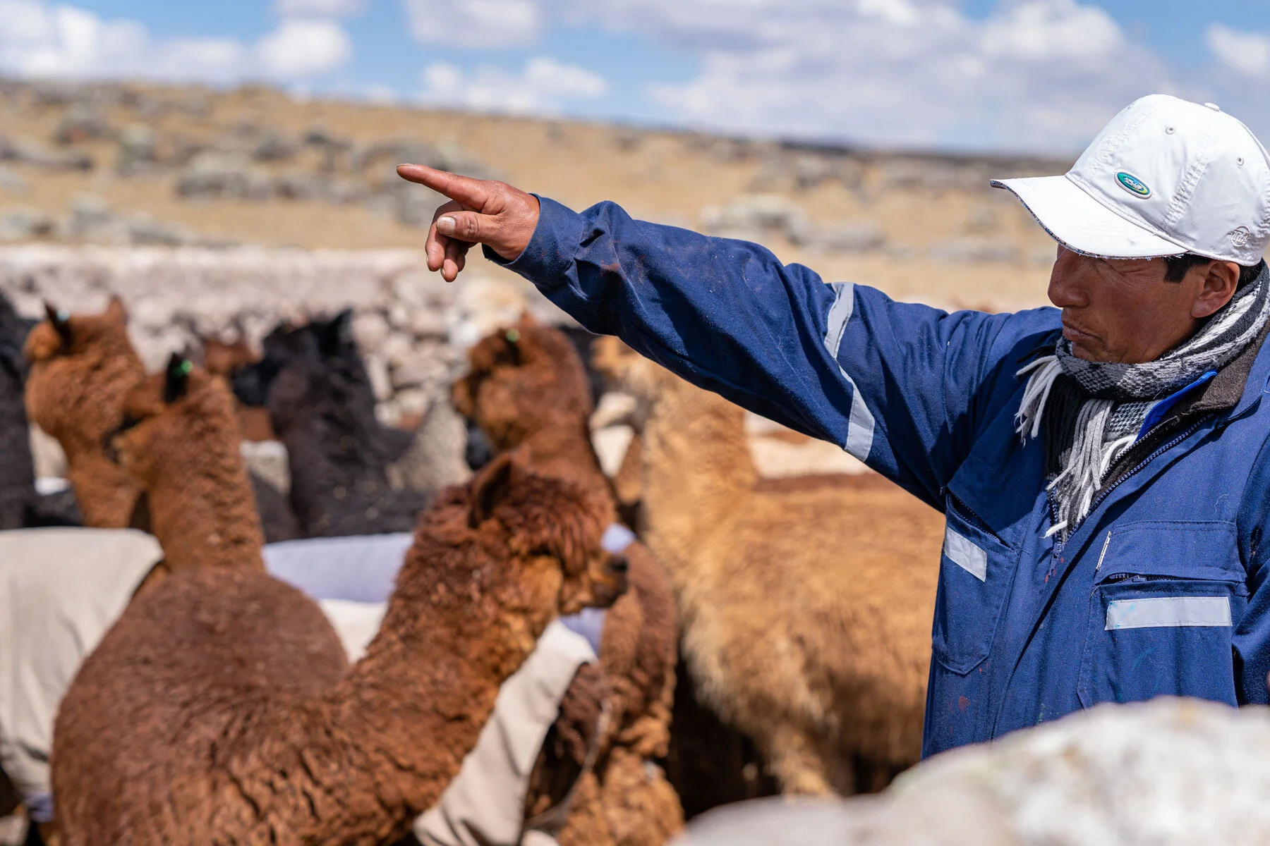 Andes Mountains Peru Quechua Benefit Picotani Spar Macusani Alpaca