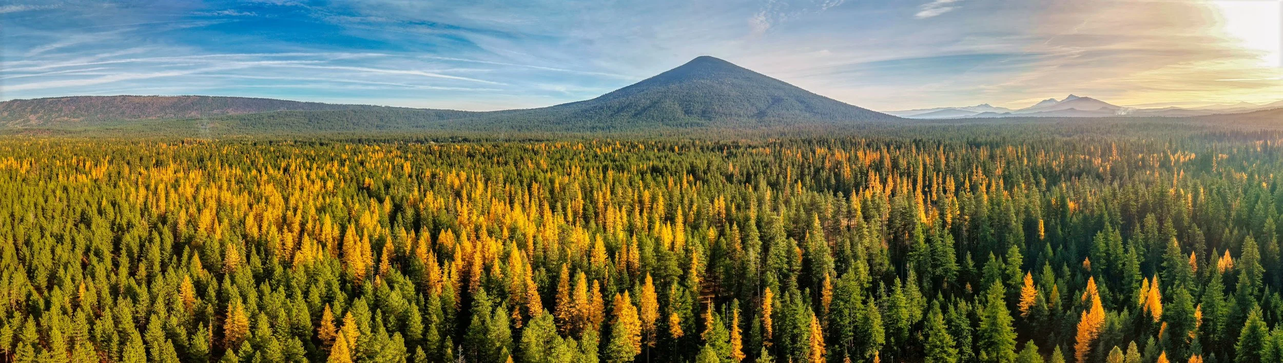 Aerials Metolius Larch Fall2025 Deschutes Land Trust Paulina Creek Preserve Photographyby webres