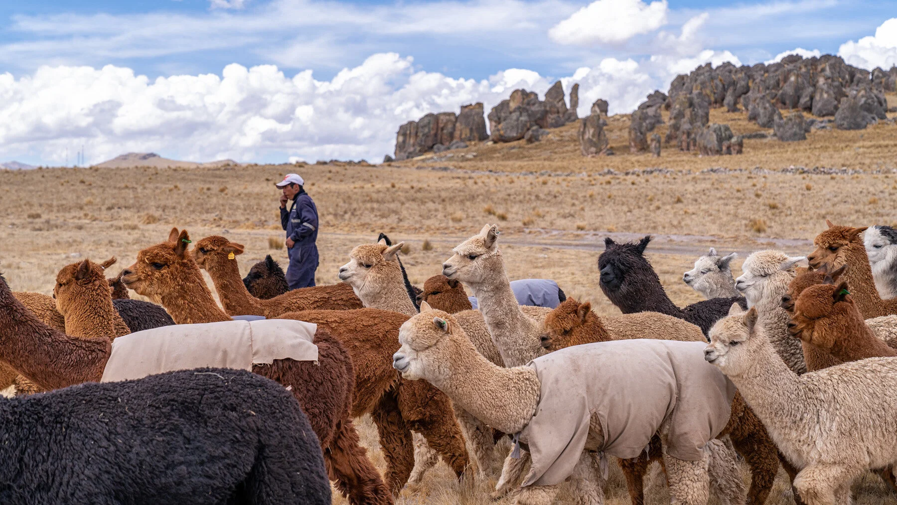 Andes Mountains Peru Quechua Benefit Picotani Spar Macusani Alpaca