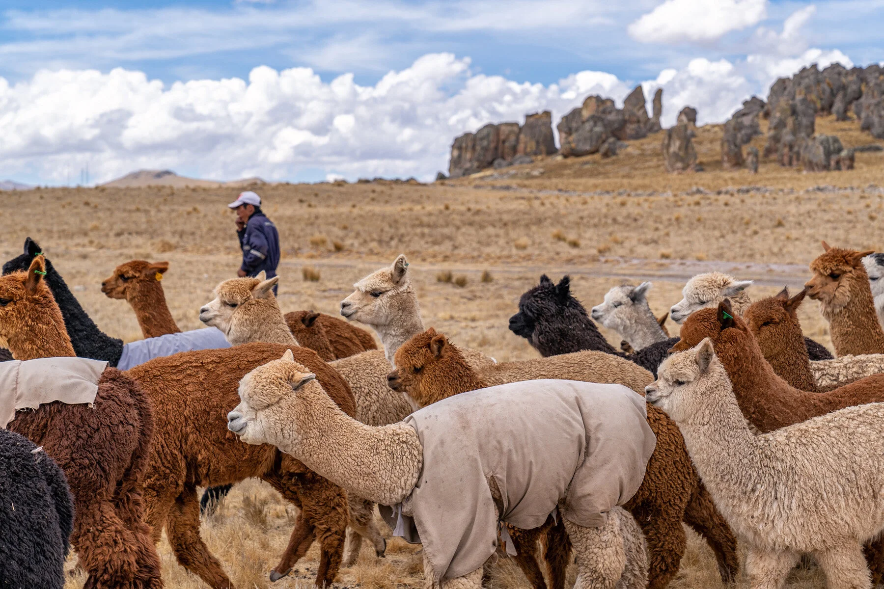Andes Mountains Peru Quechua Benefit Picotani Spar Macusani Alpaca