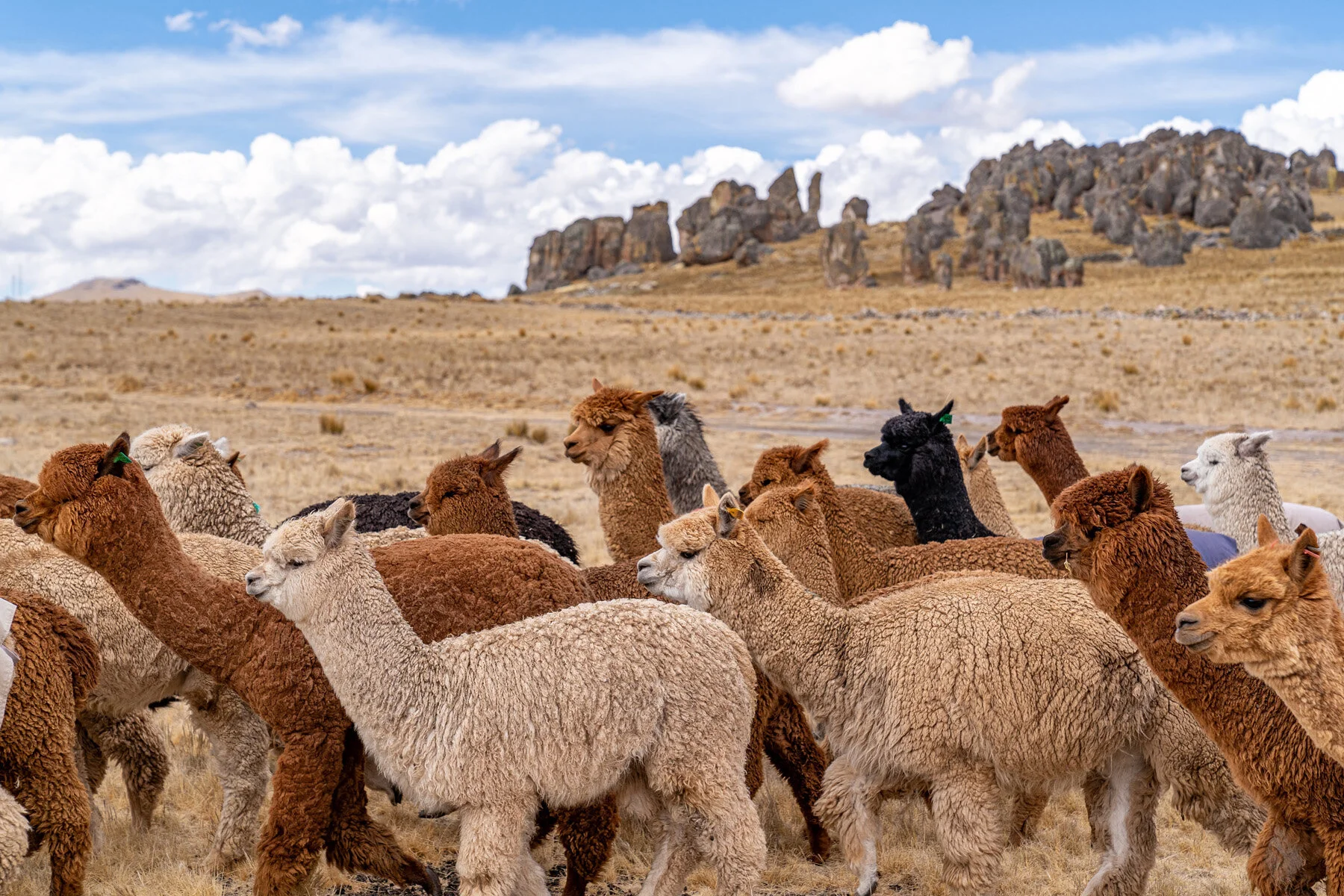 Andes Mountains Peru Quechua Benefit Picotani Spar Macusani Alpaca