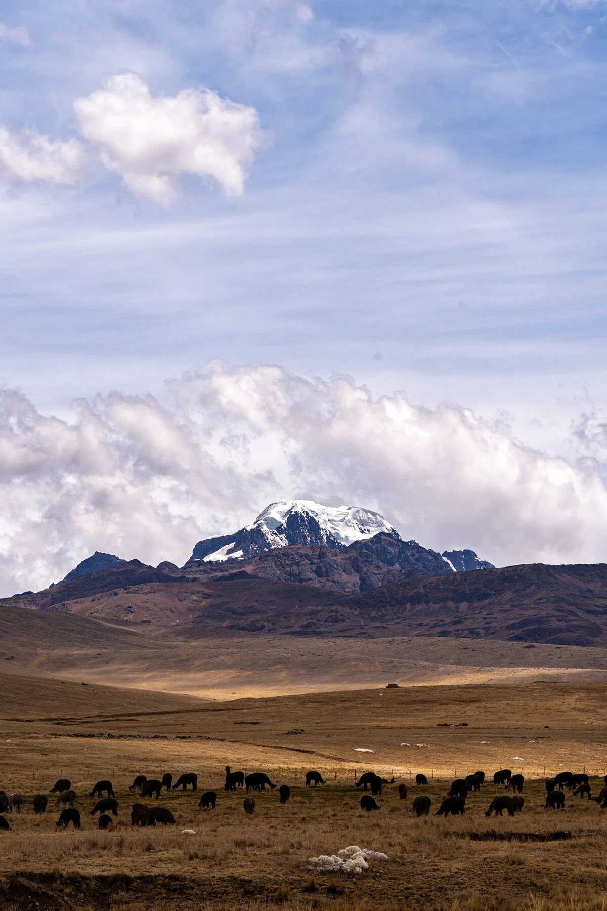 Andes Mountains Peru Quechua Benefit Picotani Spar Macusani Alpaca